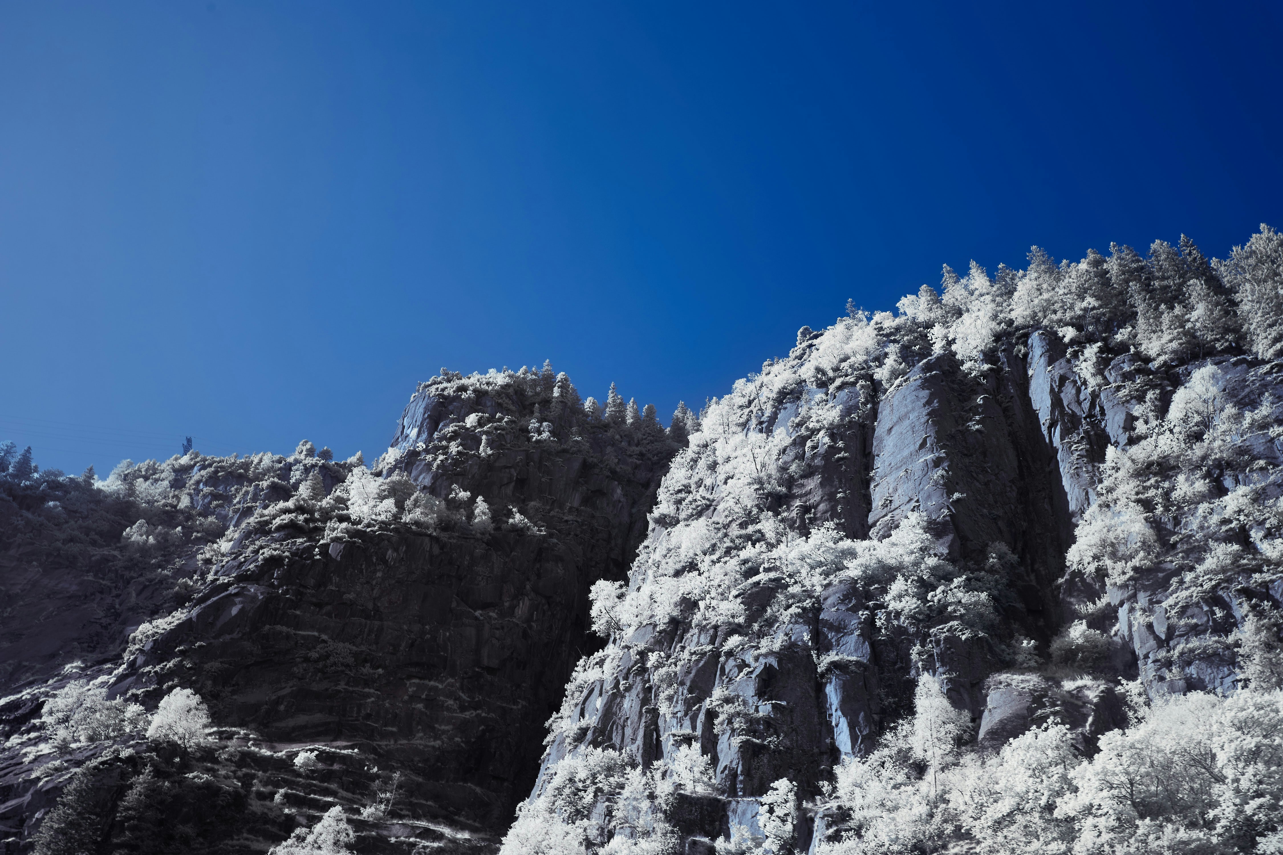 Photo by wolfgang_hasselmann