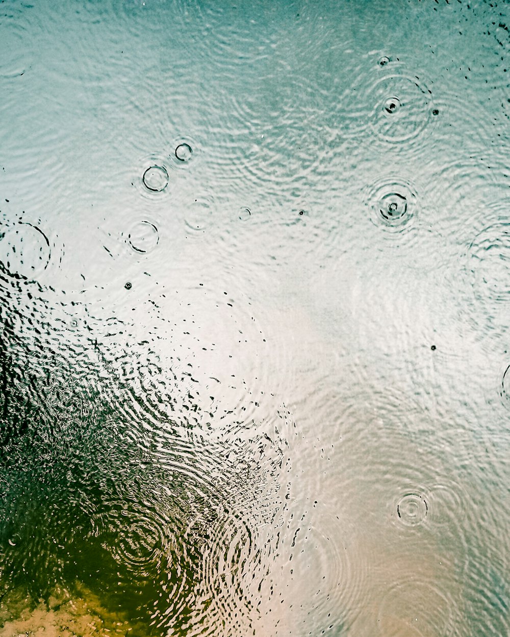 Wassertröpfchen auf Glasscheibe