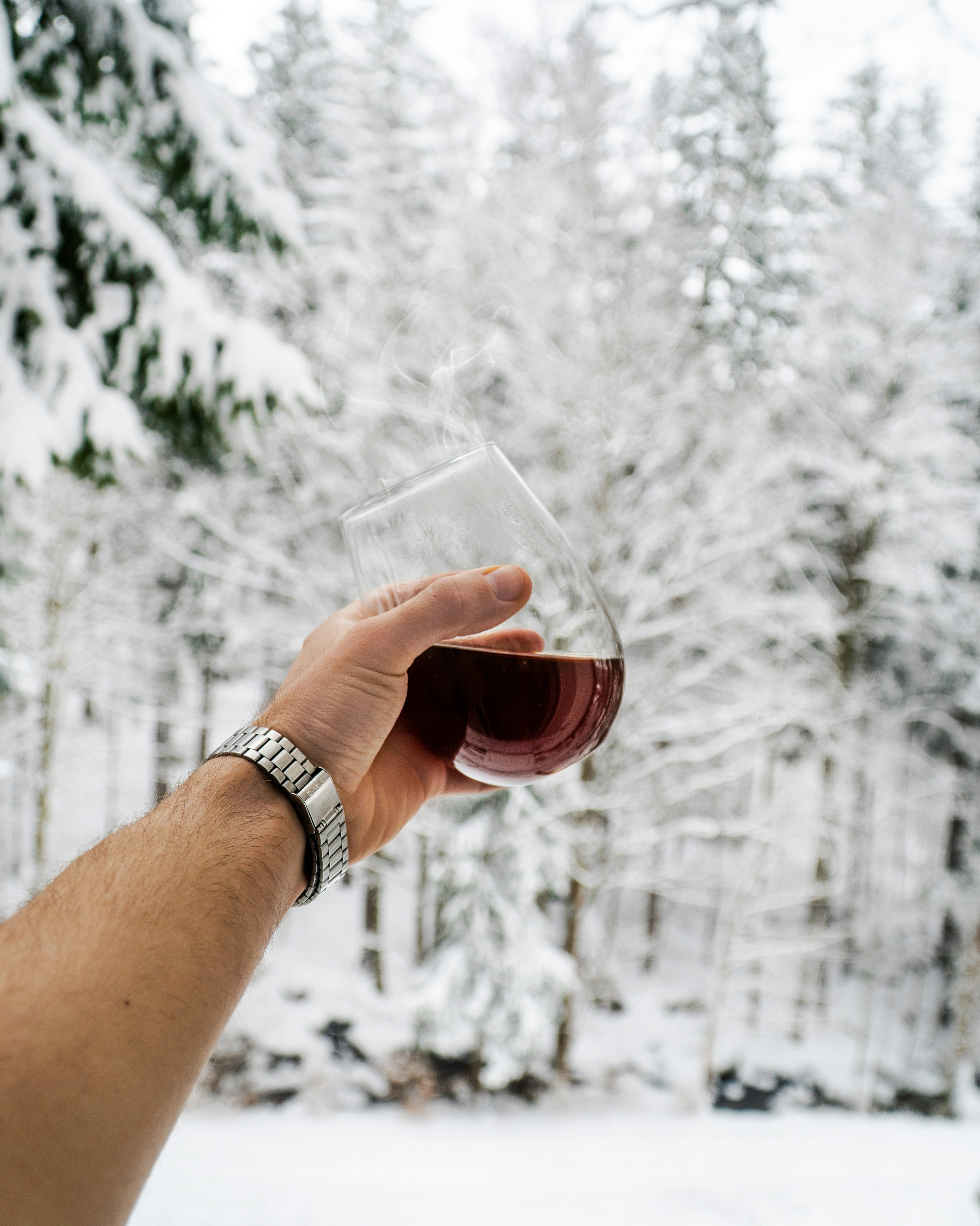 person holding clear wine glass with red wine