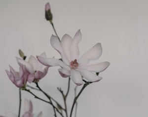 Floral Acrylic Magnet