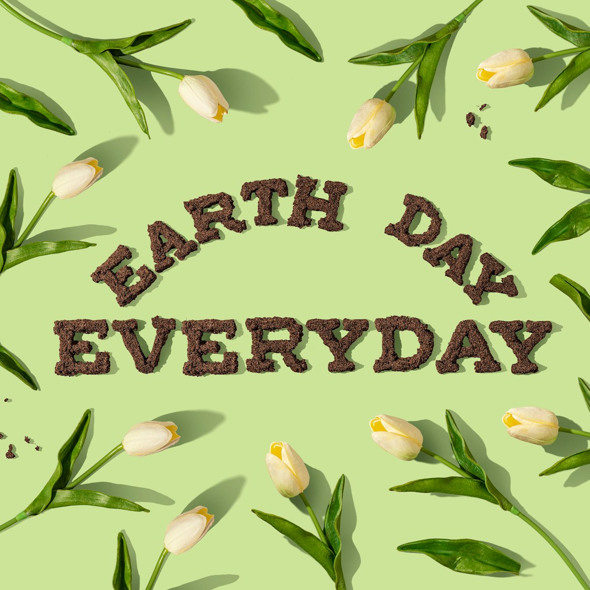 earth day: every small act matters