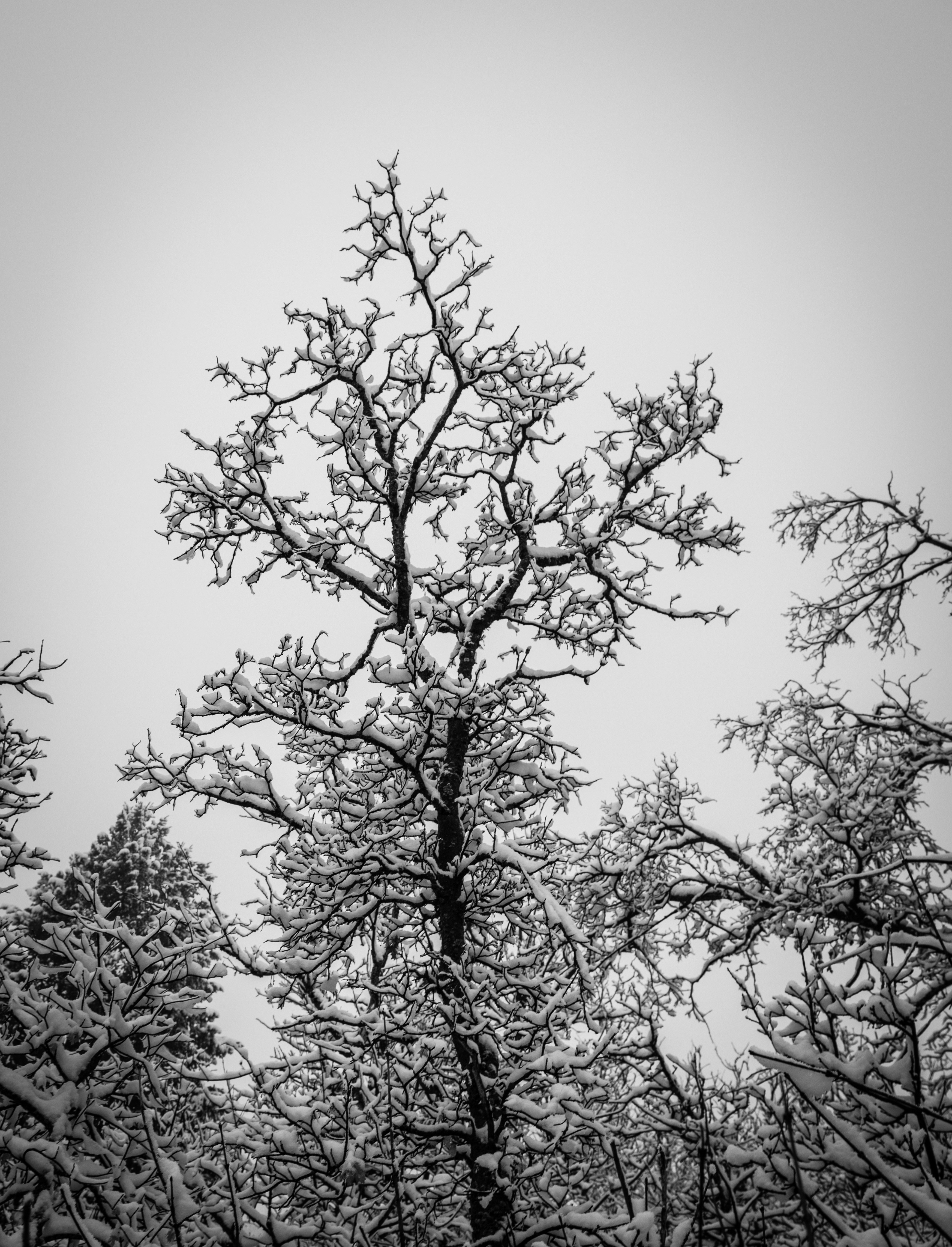 Photo by capturelight