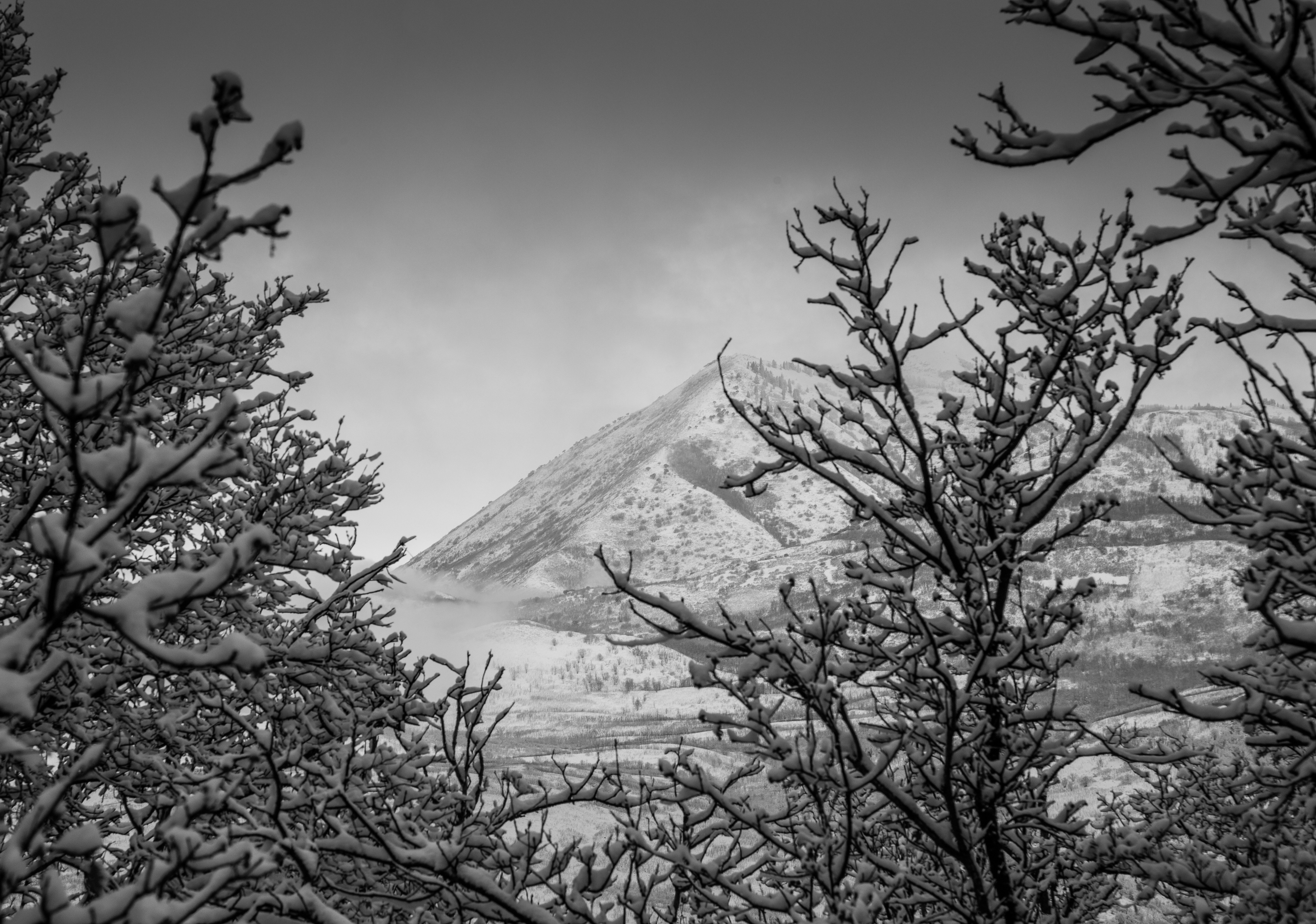 Photo by capturelight