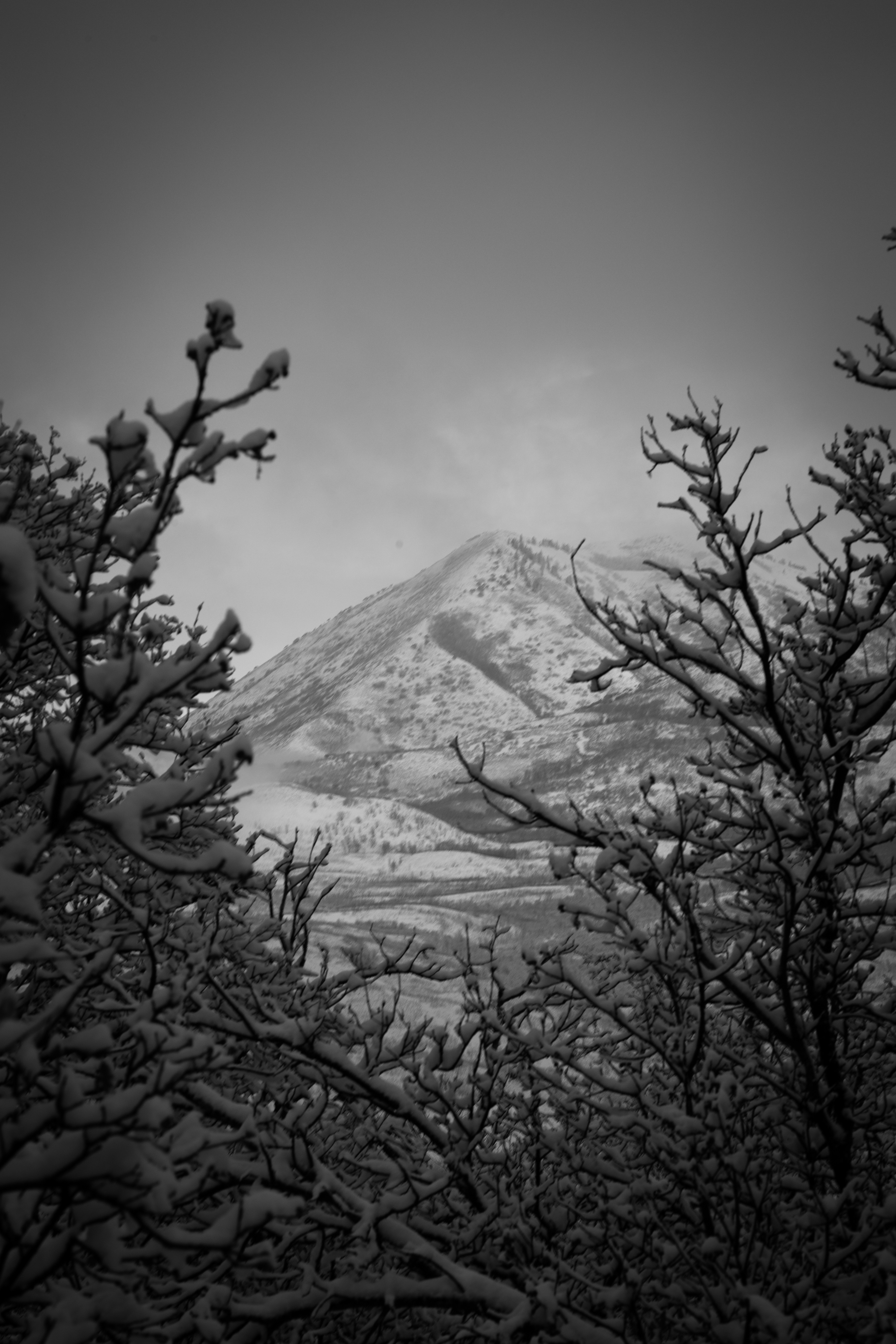 Photo by capturelight