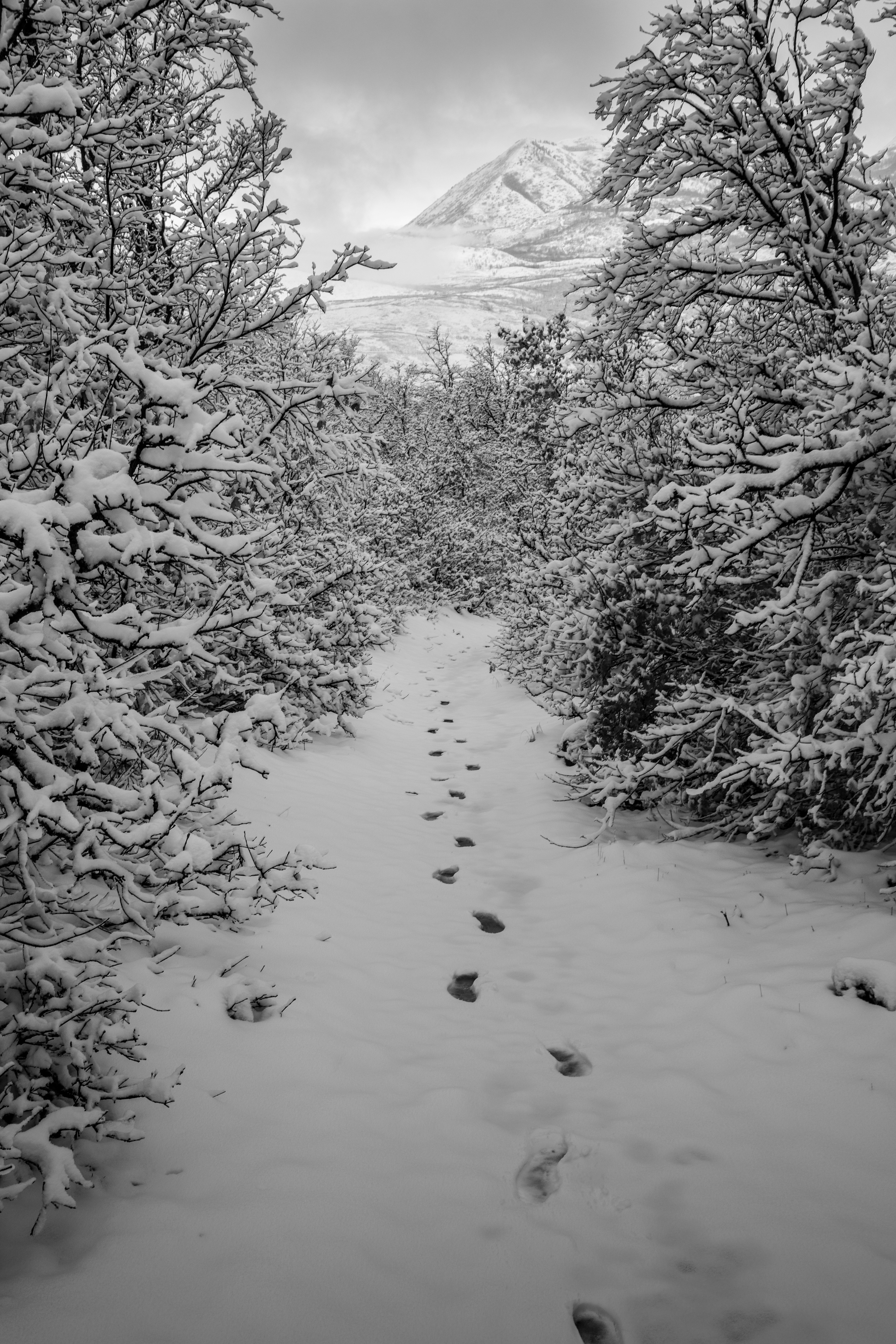 Photo by capturelight