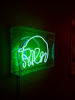 A brightly illuminated green neon sign is encased in a clear rectangular box, mounted against a dark wall. The sign seems to depict an abstract or artistic shape, possibly a stylized word or symbol. The bright glow contrasts sharply with the surrounding dimly lit environment, creating a striking visual effect.