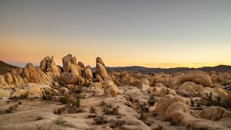 brown rocks on brown field during daytime