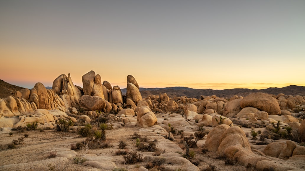 rocks on the desert during sunset
