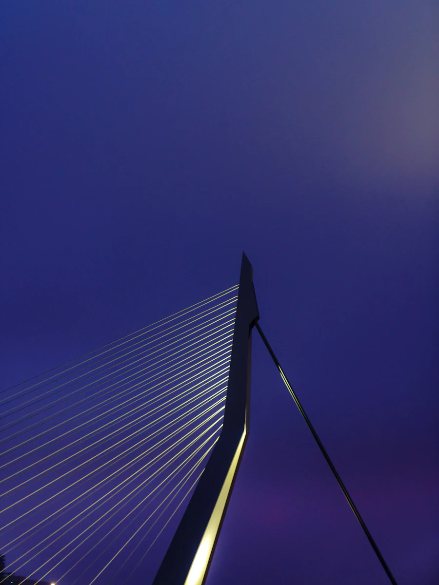 Rotterdam, Netherlands — Erasmusbrug