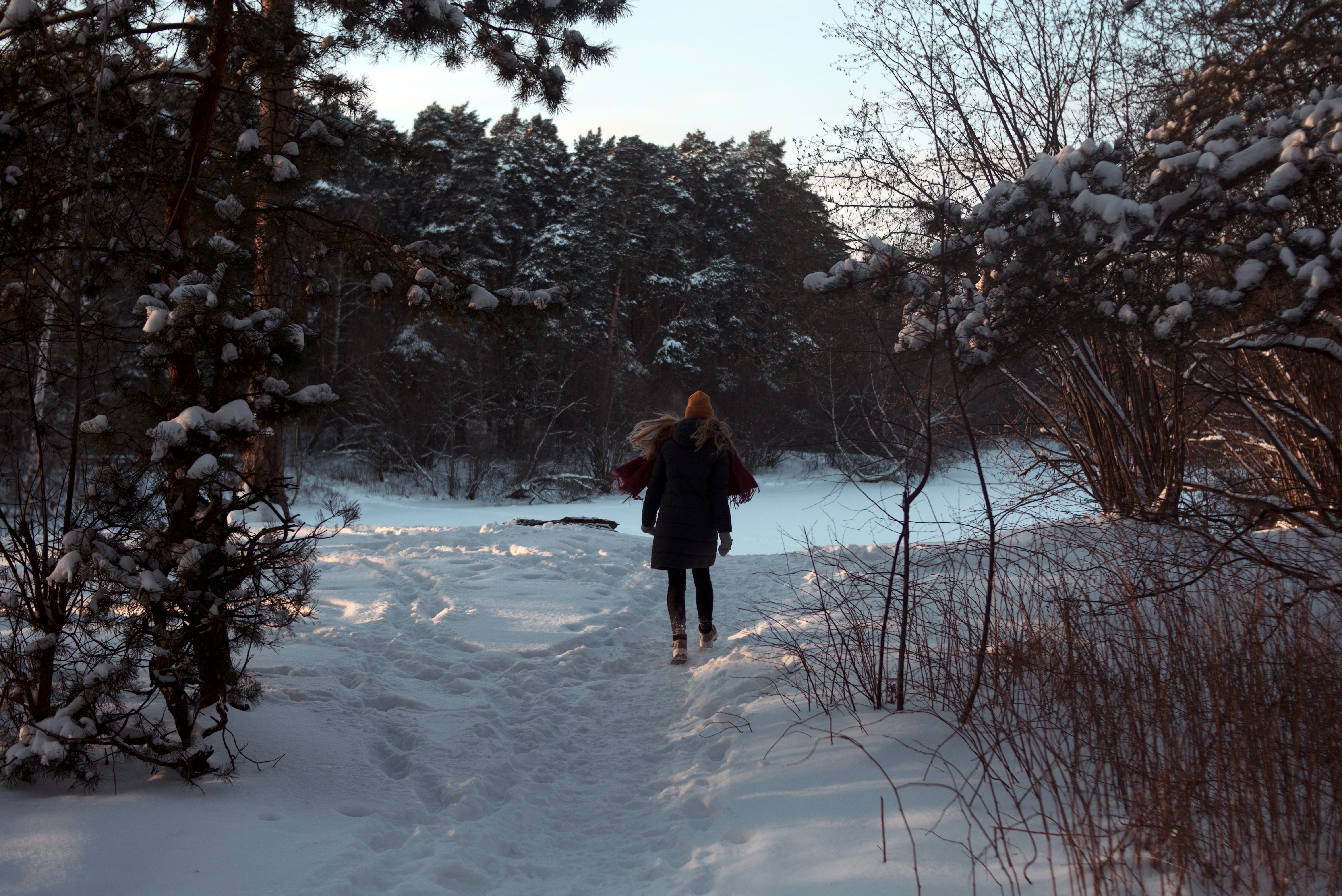 Photo by astashov_artem