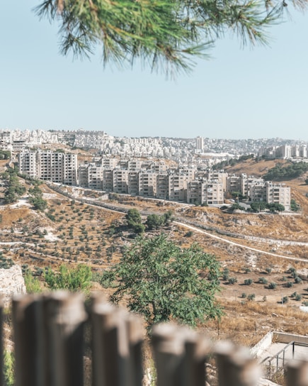 An urban landscape featuring a dense cluster of apartment buildings in the background, nestled on rolling hills. In the foreground, there is a lush green tree and a blurred fence, adding depth to the composition. The scene suggests the outskirts of a city, with a mix of natural land and structured development.