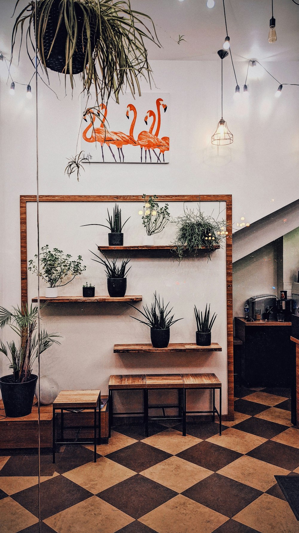 green potted plant on brown wooden table