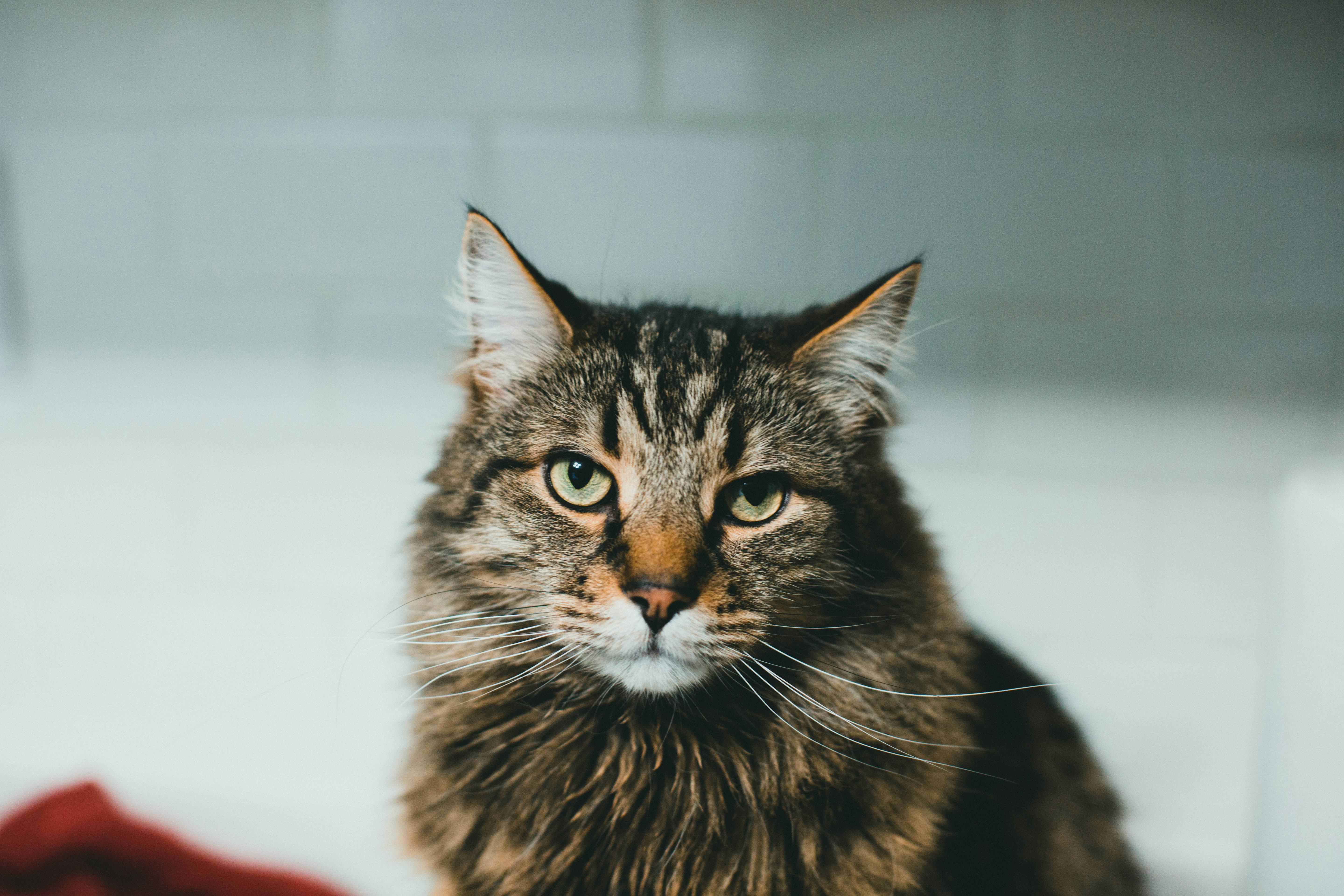 Photo by theshuttervision