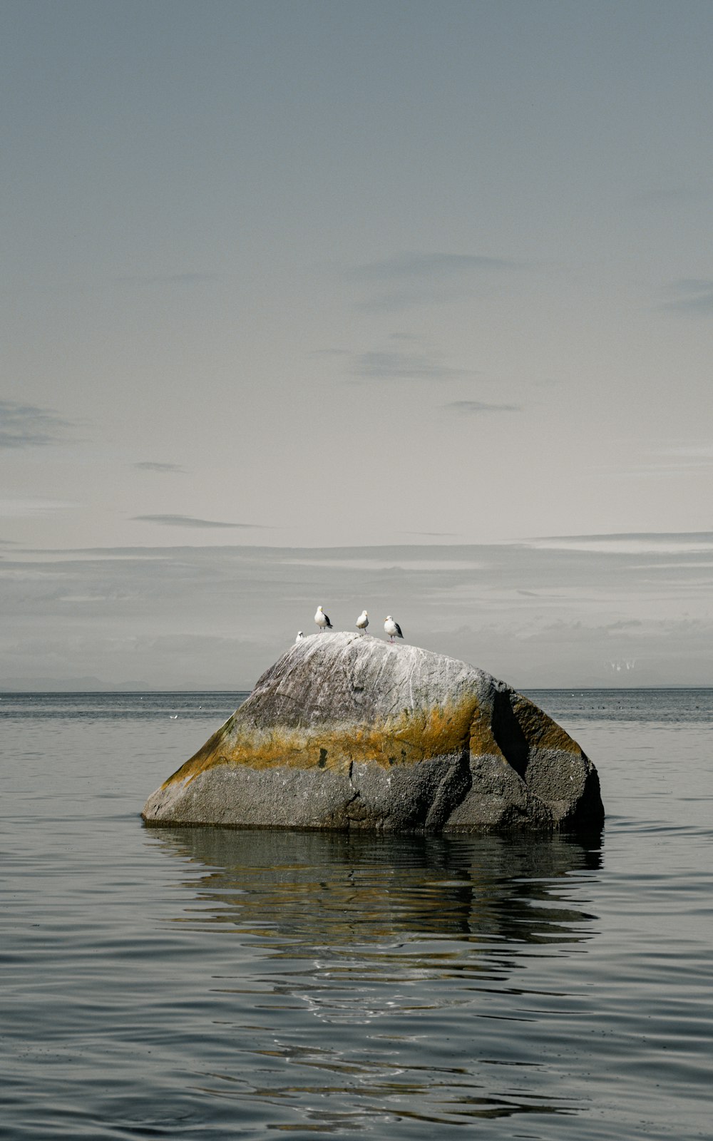 gray rock on body of water during daytime