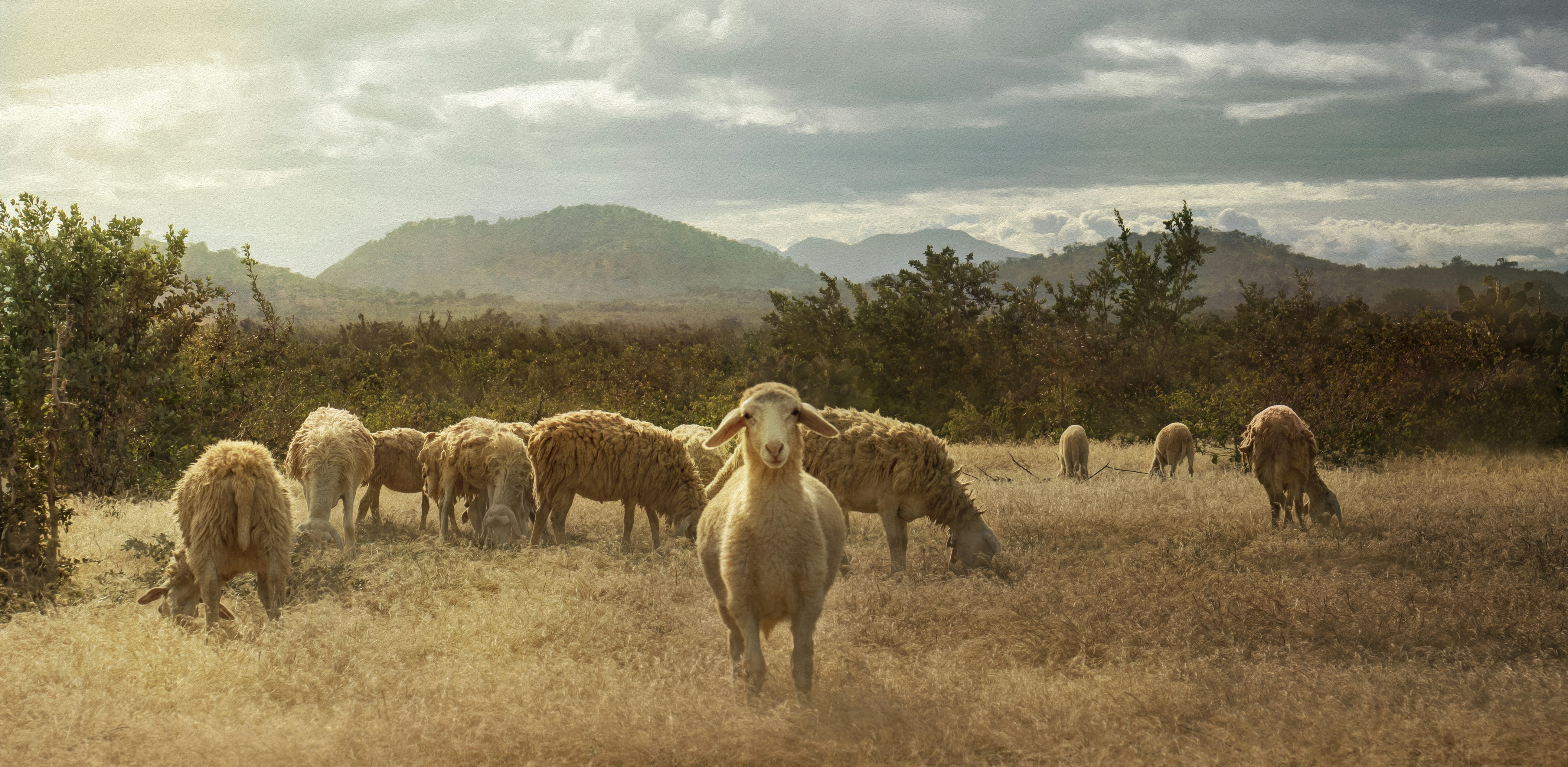 Photo by jangrawstudio