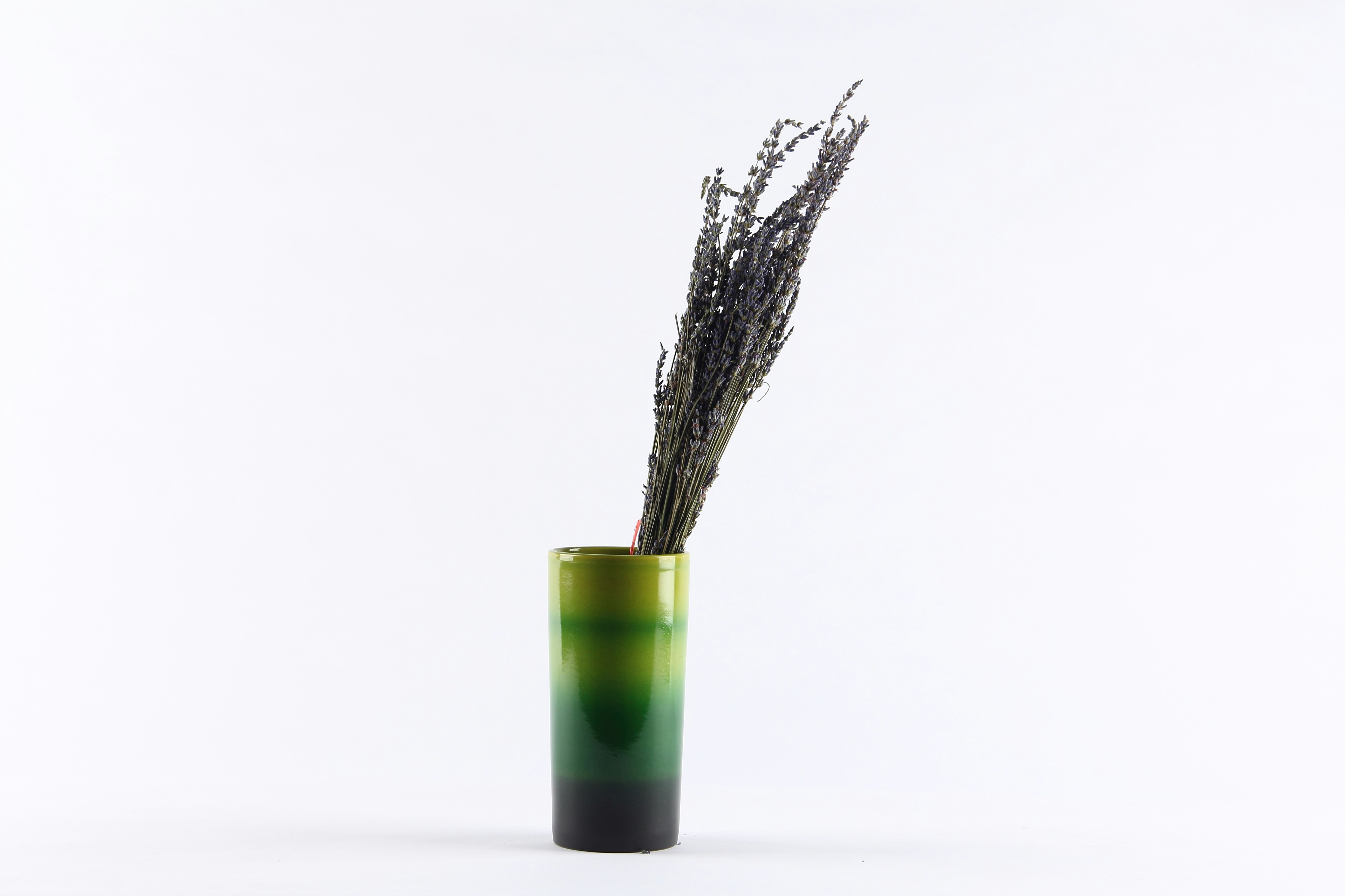 green and black vase with brown plant