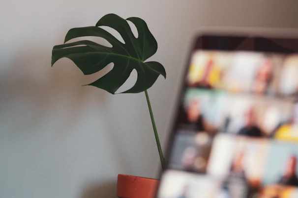 A futuristic AI gardening dashboard preview hovering beside a vibrant monstera plant with large glossy leaves.
