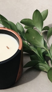 An elegant olive green candle surrounded by dried flowers on a minimalist white background.