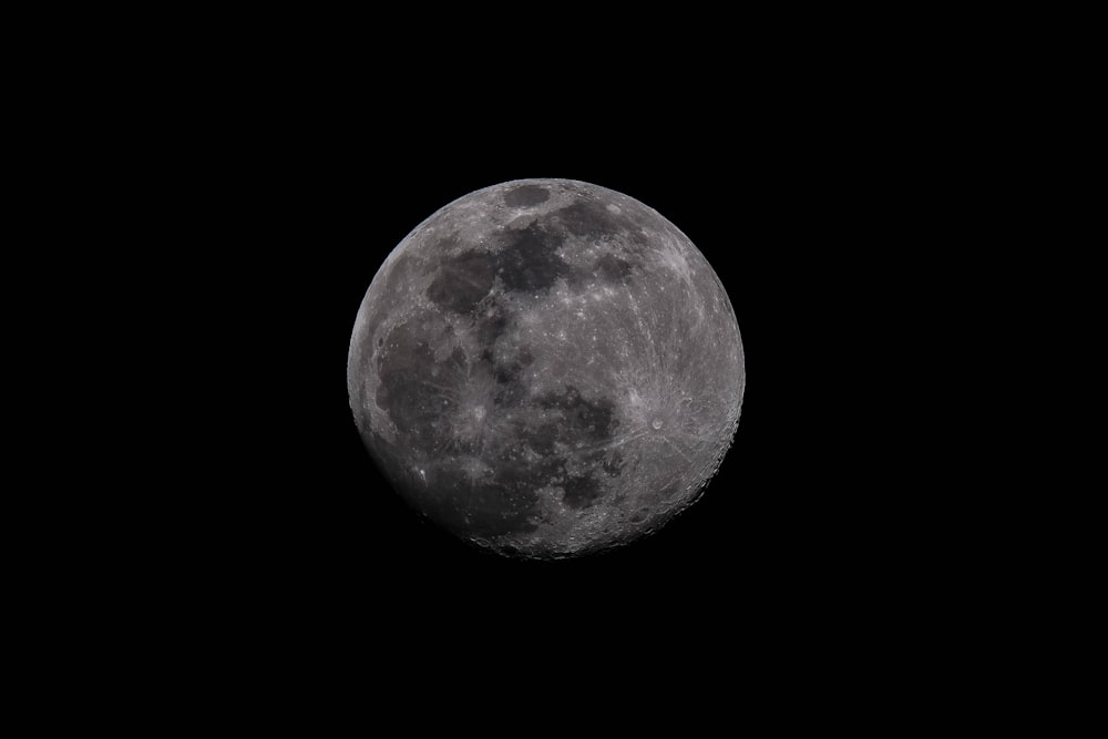 full moon on white background