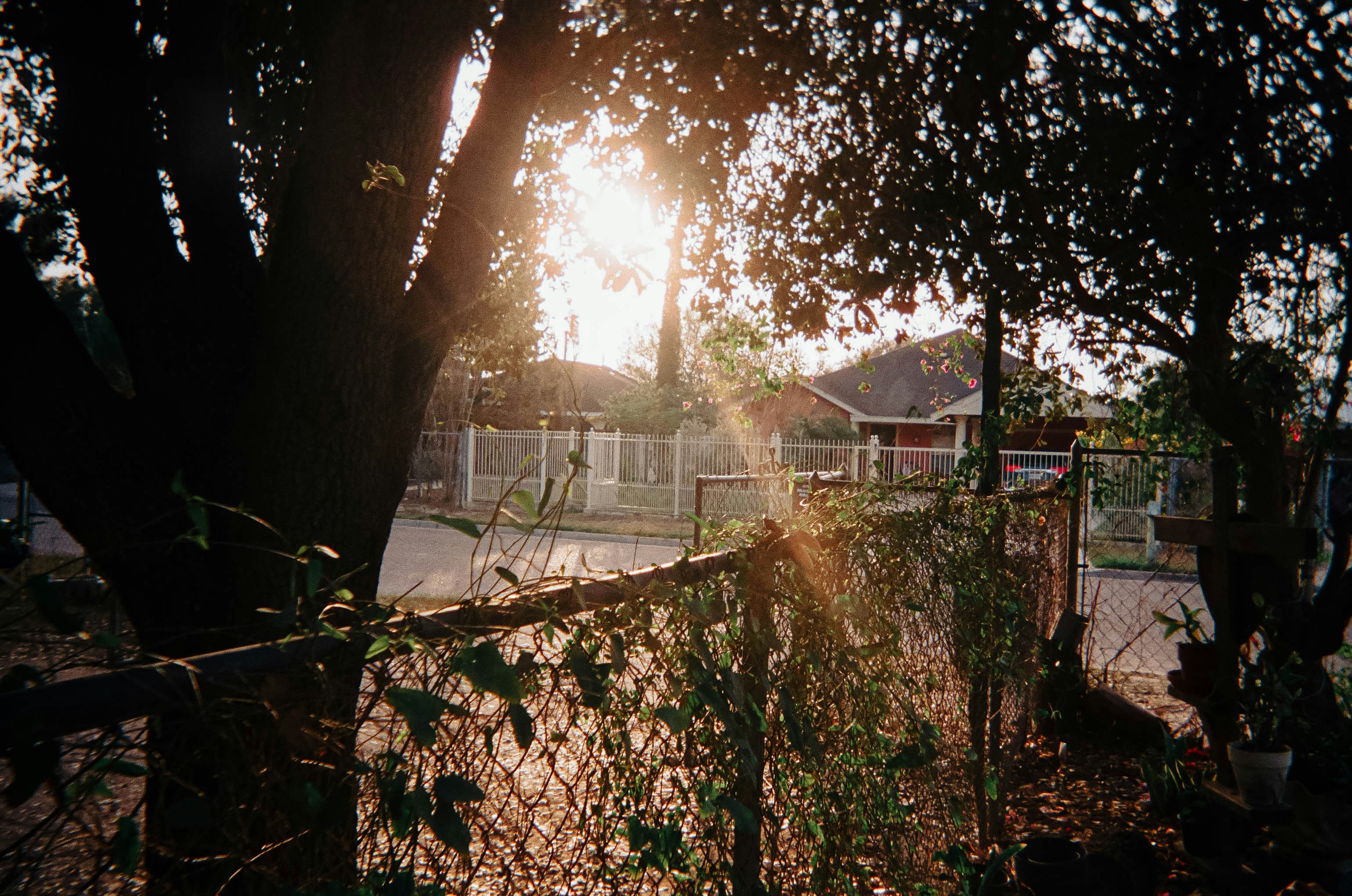 Photo by benignohoyuela