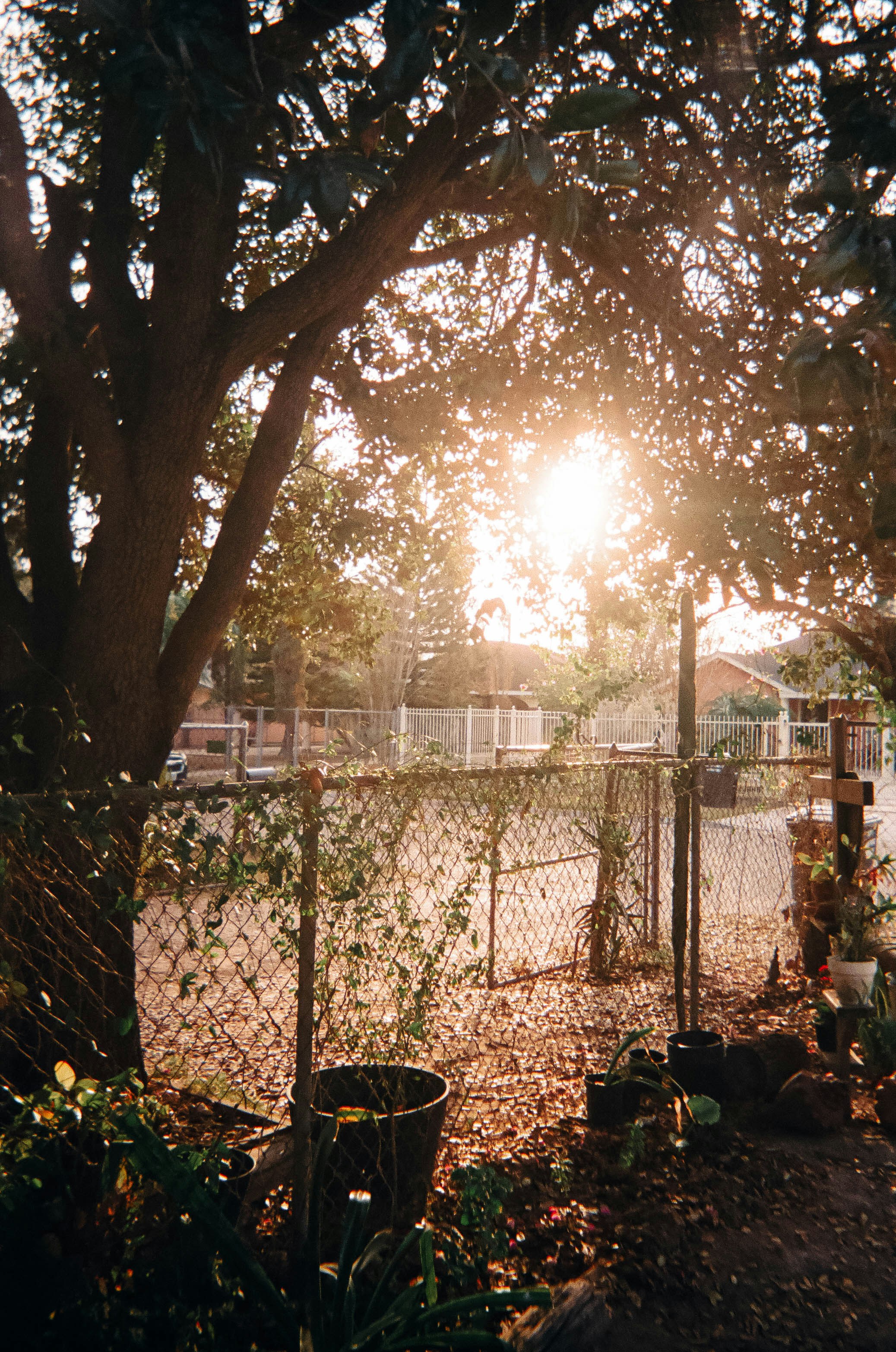 Photo by benignohoyuela