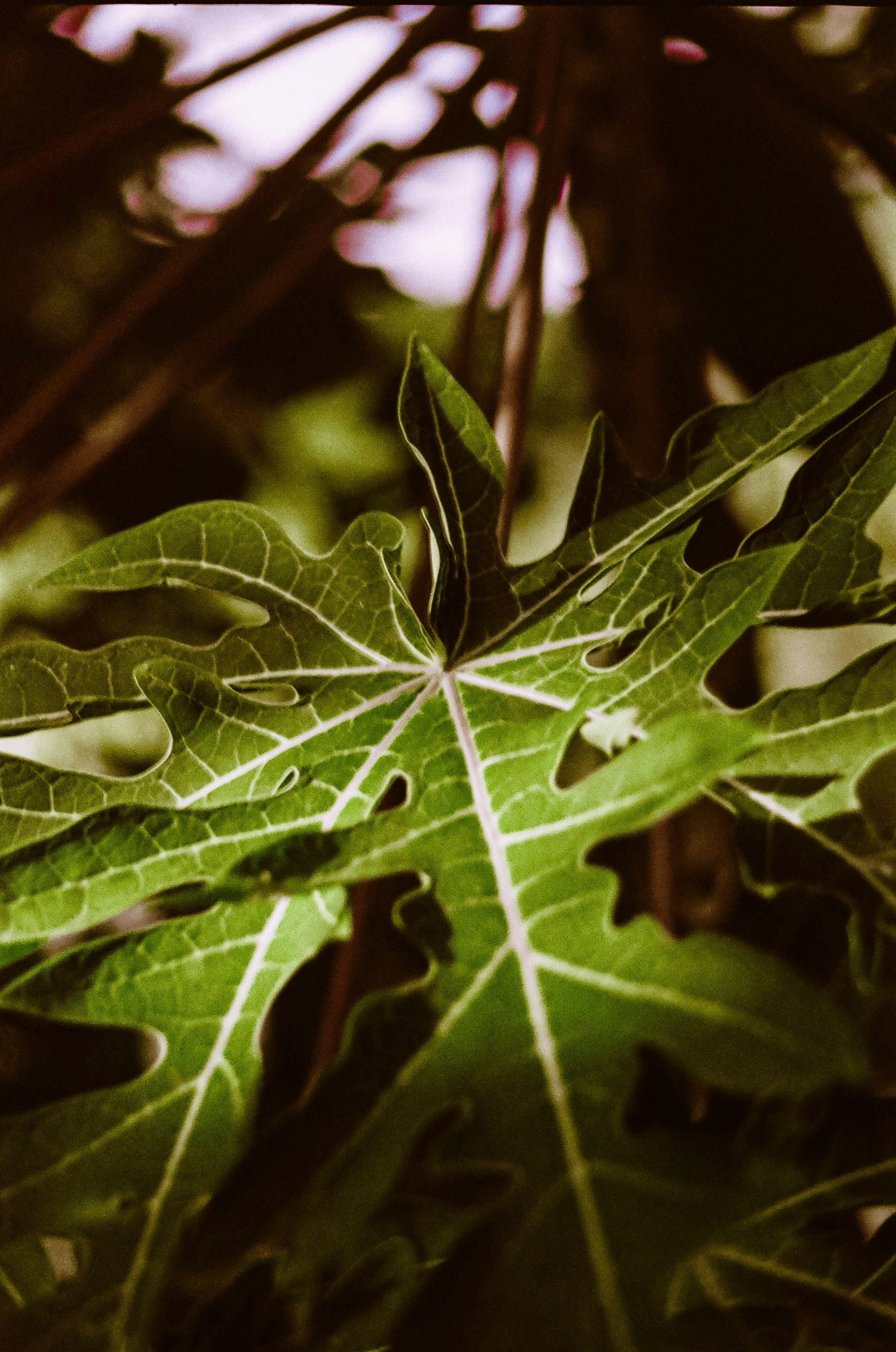 Photo by benignohoyuela