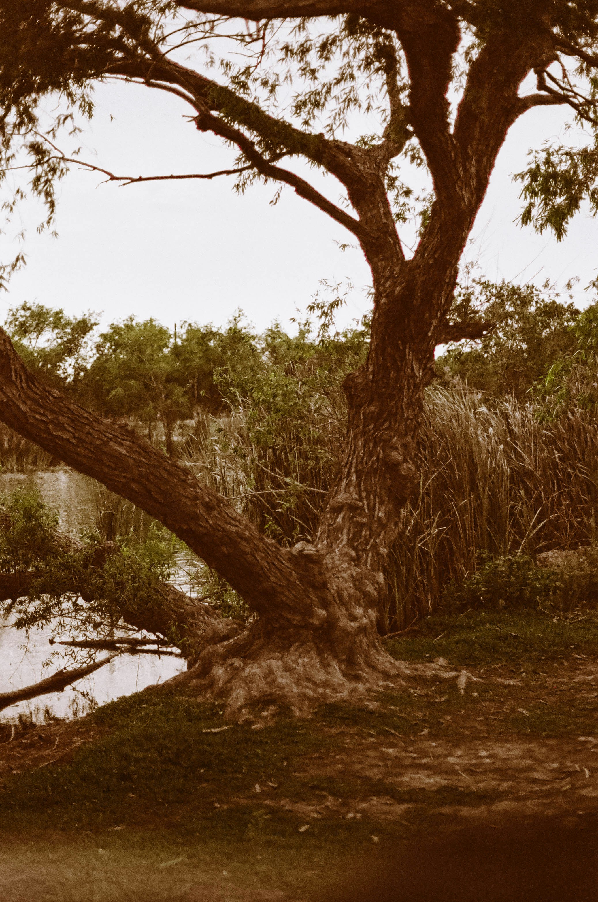 Photo by benignohoyuela