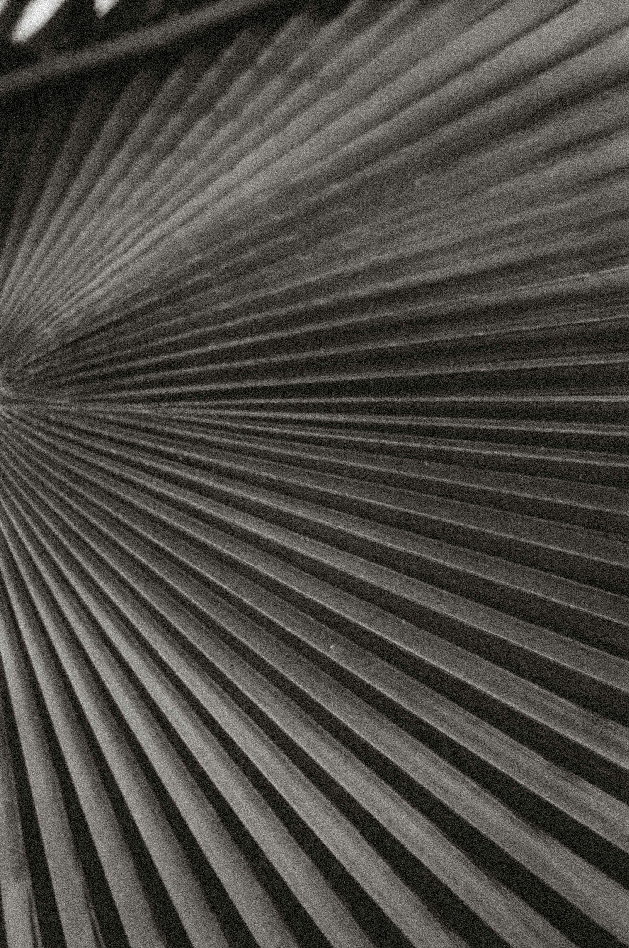 Photo by benignohoyuela