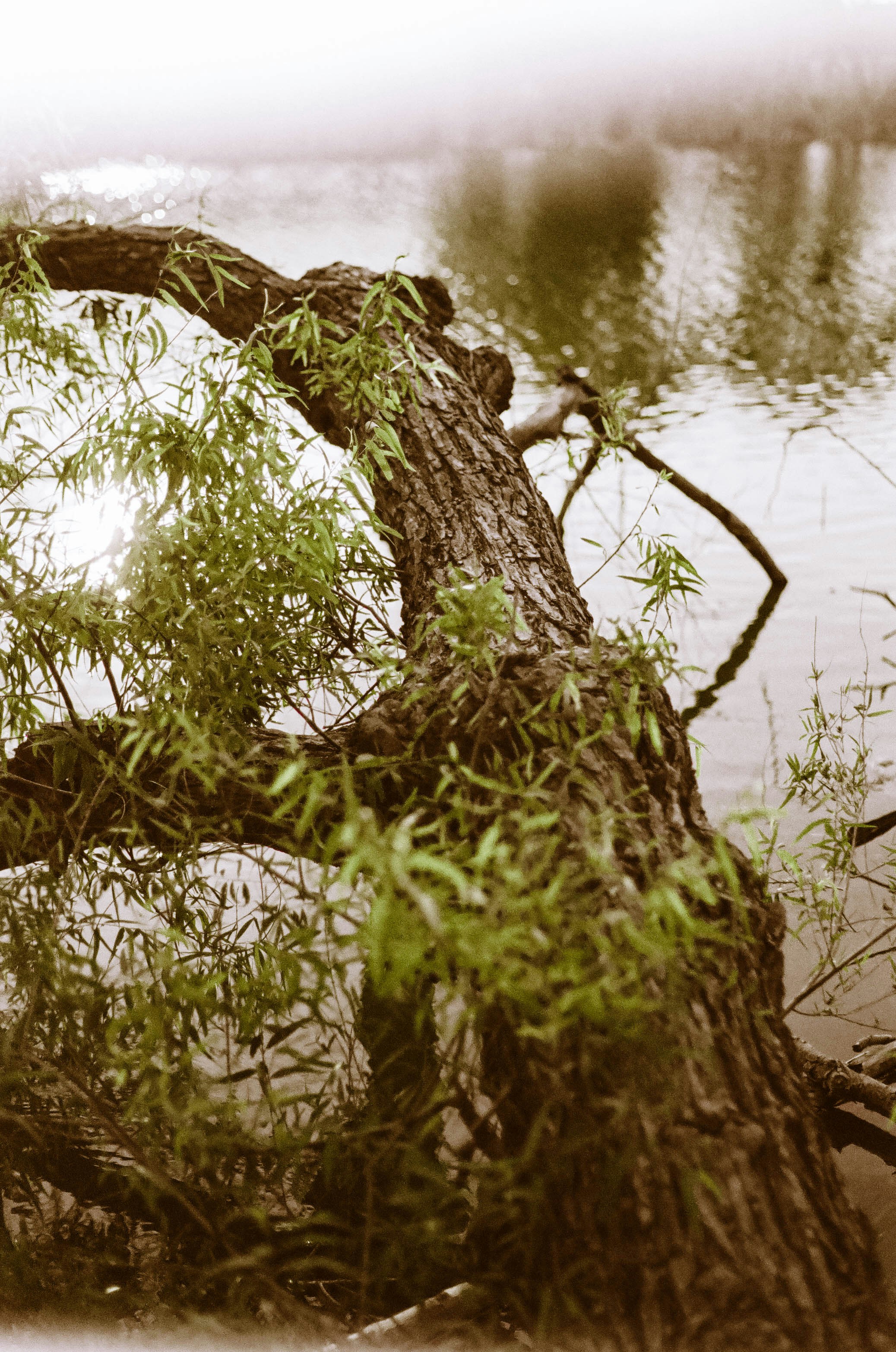 Photo by benignohoyuela