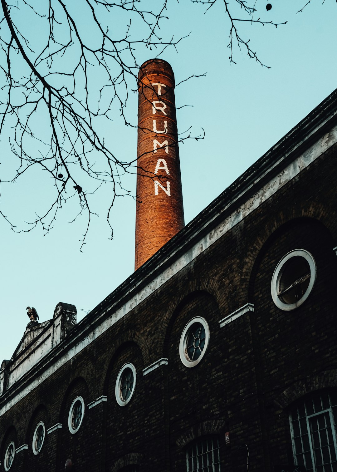 brown and black concrete building