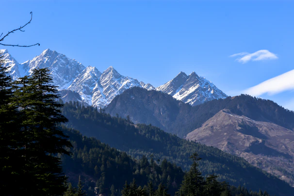 A panoramic view of rugged Alaskan wilderness with towering mountains and dense pine trees.