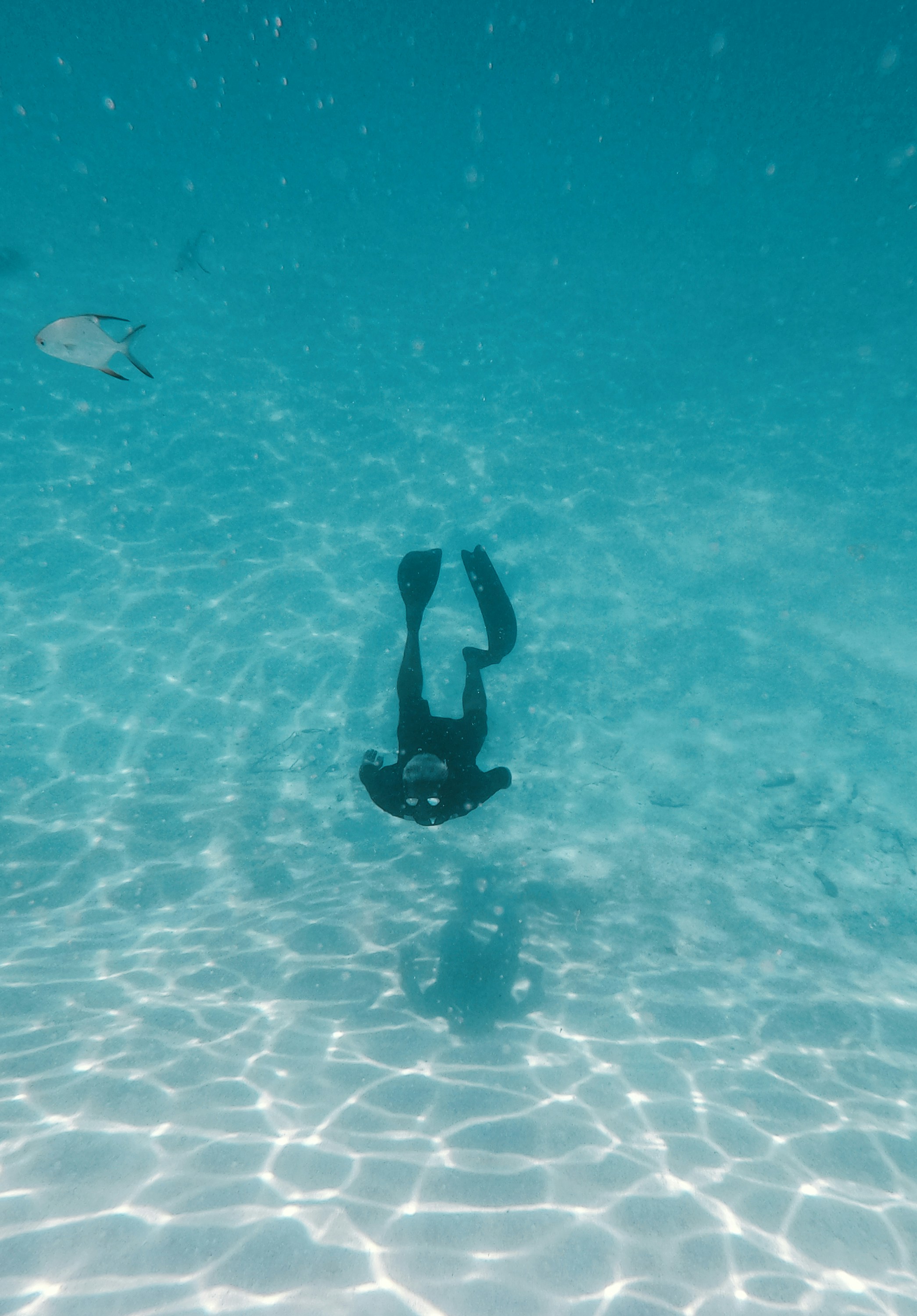 Pessoa em traje de mergulho preto na água foto – Imagem grátis sobre Mar na  Unsplash, image size:3000x4306