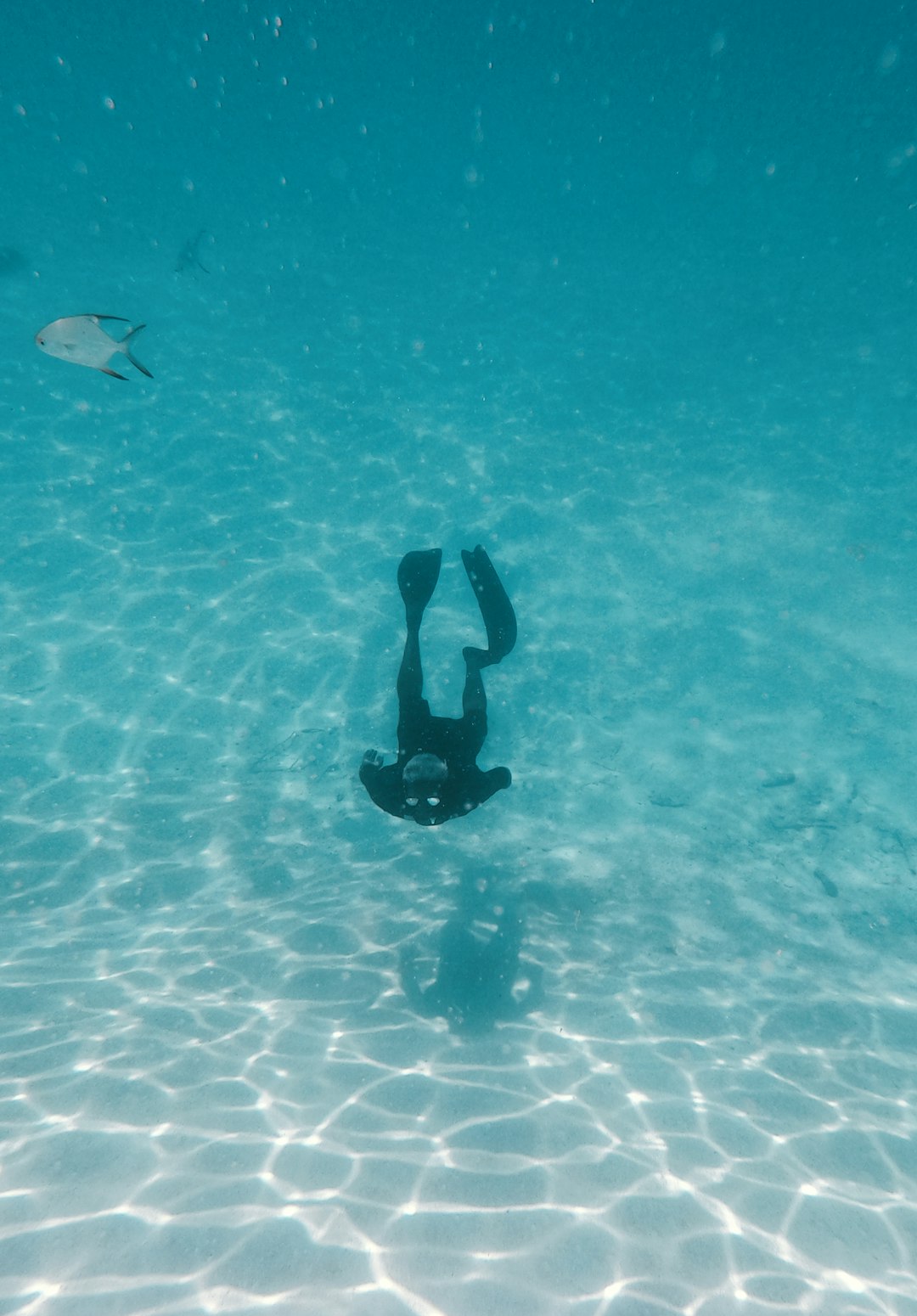 person in black wet suit in water