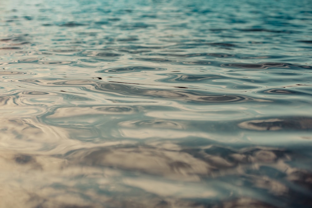 body of water during daytime