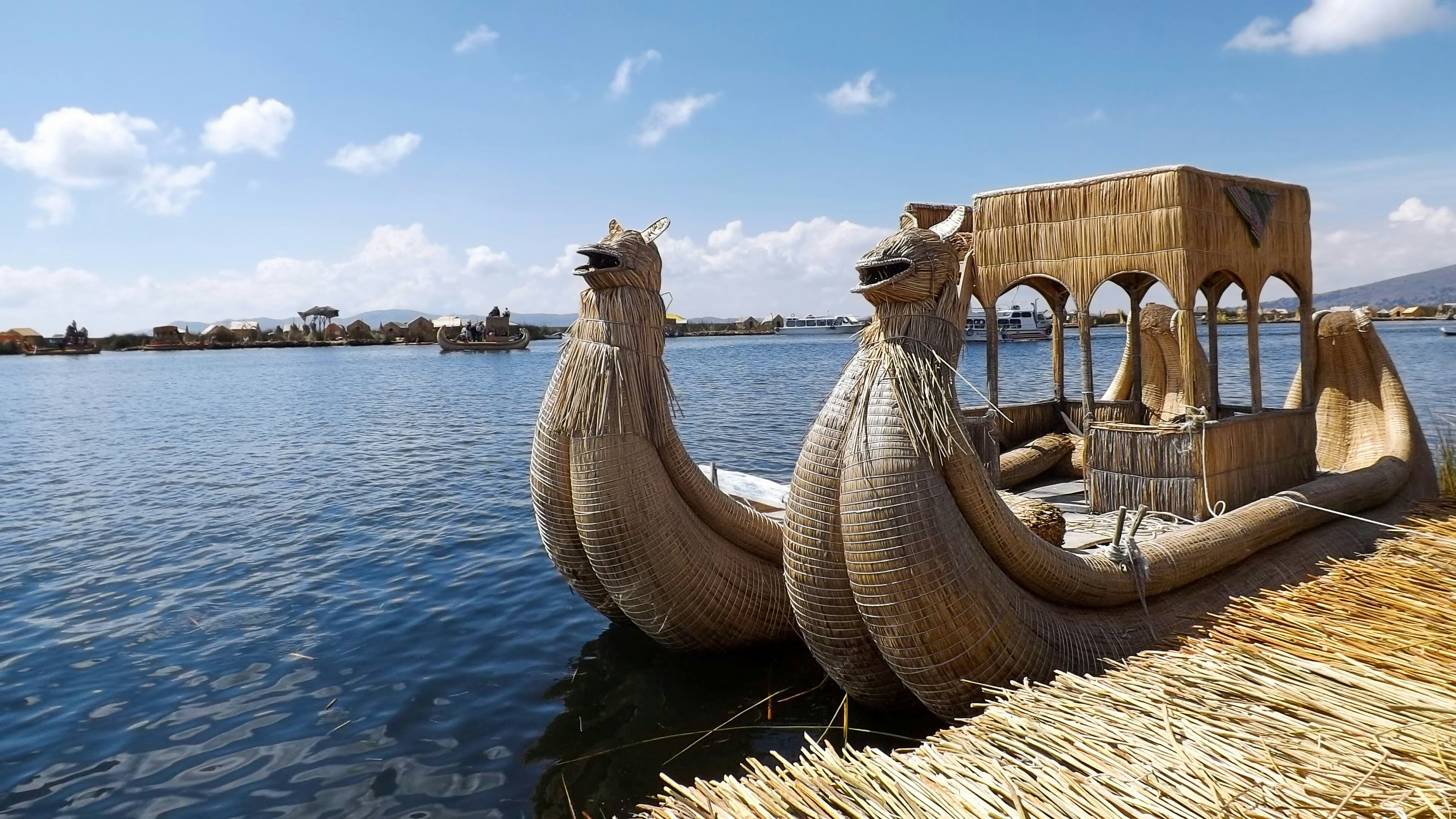 photo-1616832966135-1ec07523d8a1?q=80&w=