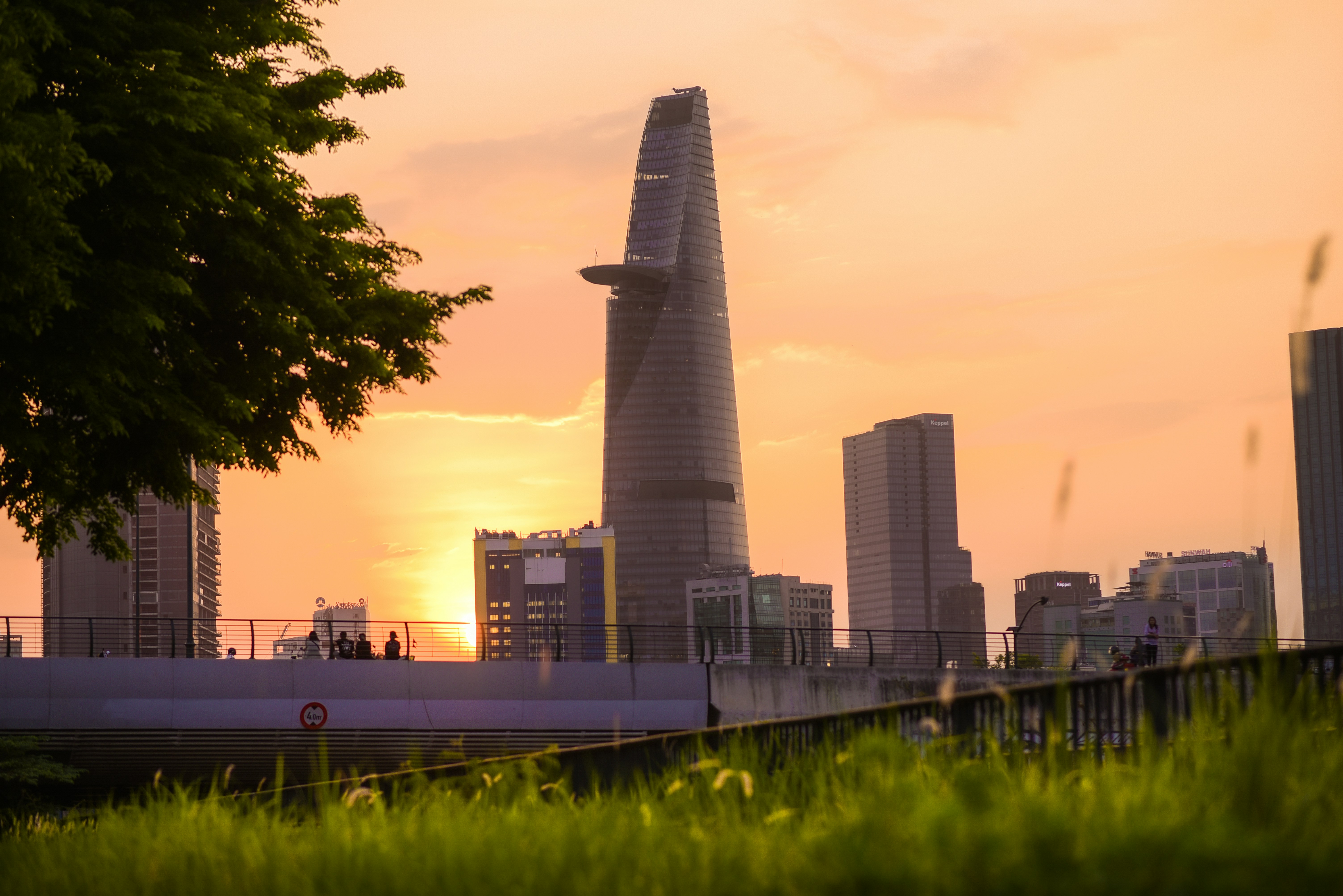 High rise building near green trees during daytime photo – Free ...