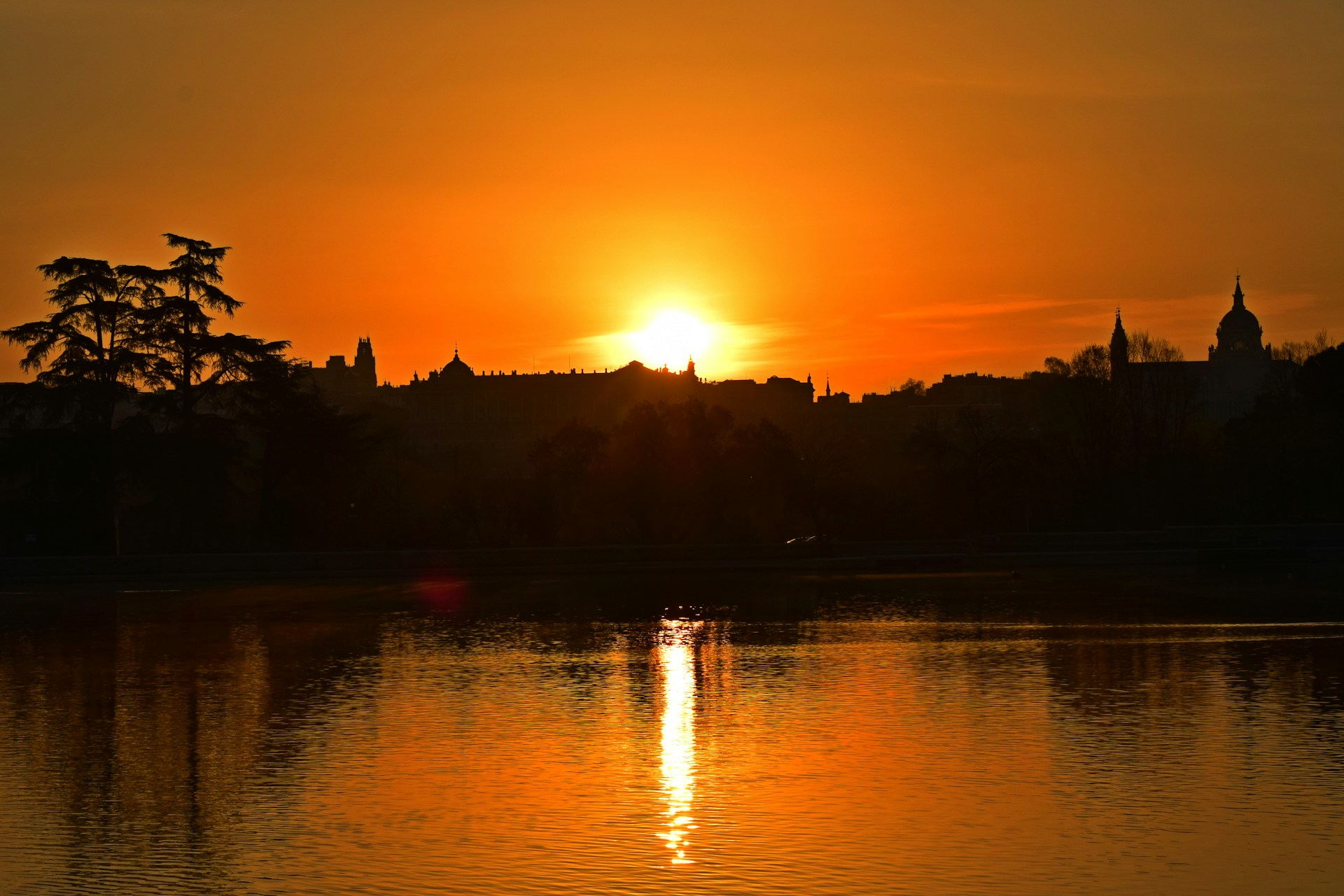 silhouette of trees near body of water during sunset
