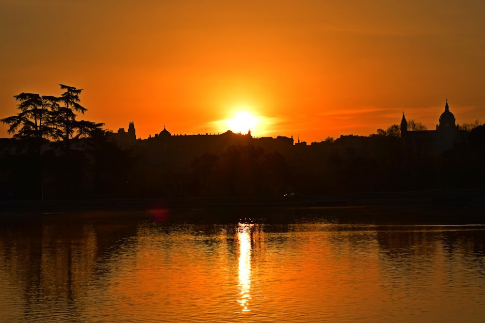 silhouette of trees near body of water during sunset