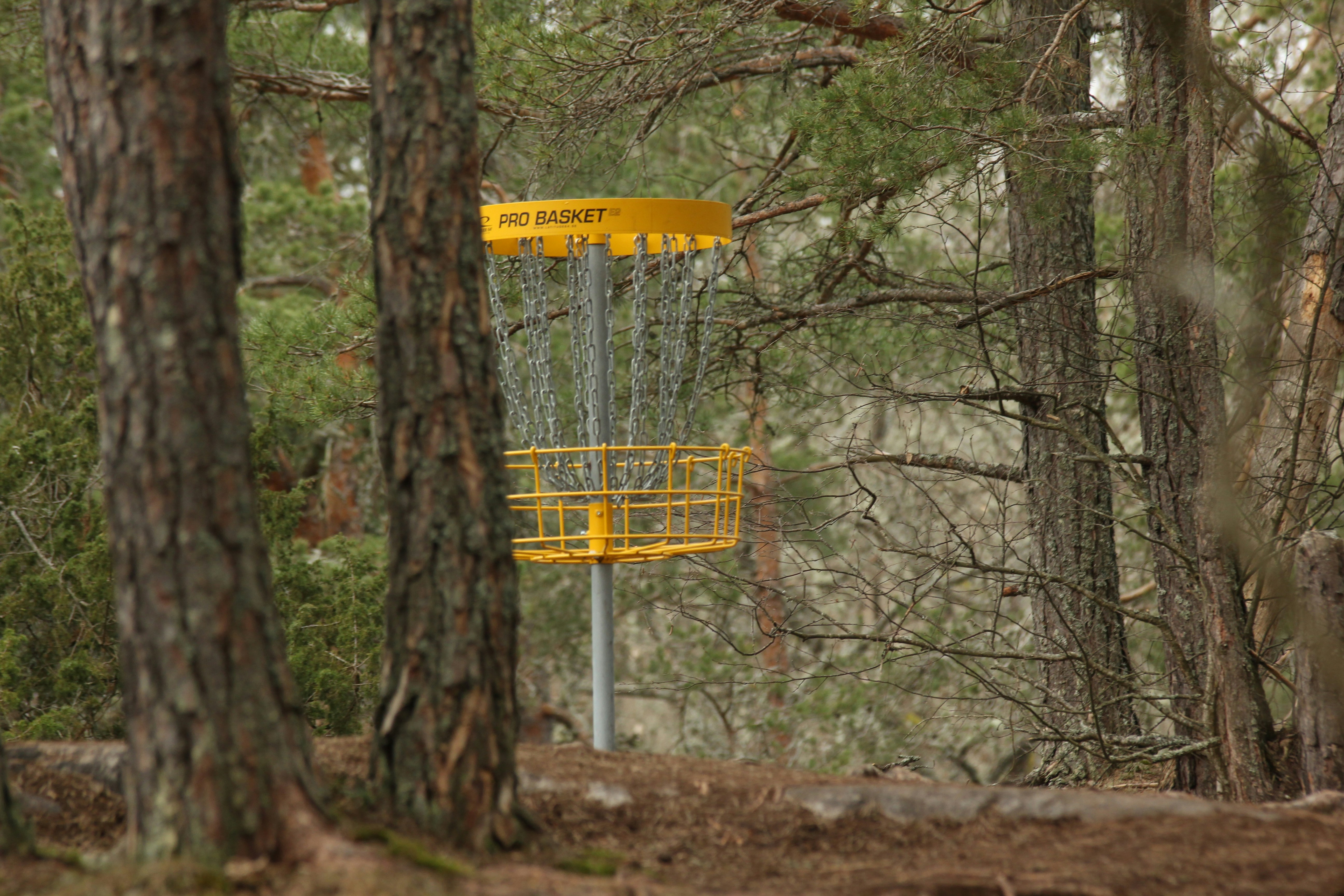 Initiation au disc-golf