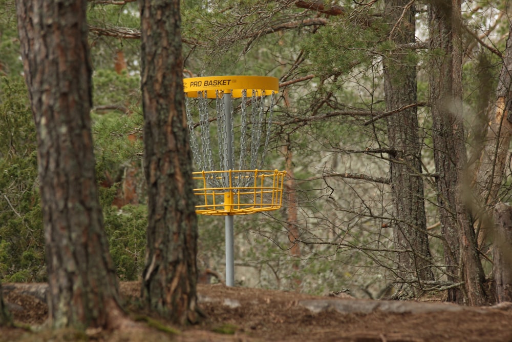 yellow and black metal signage near trees during daytime