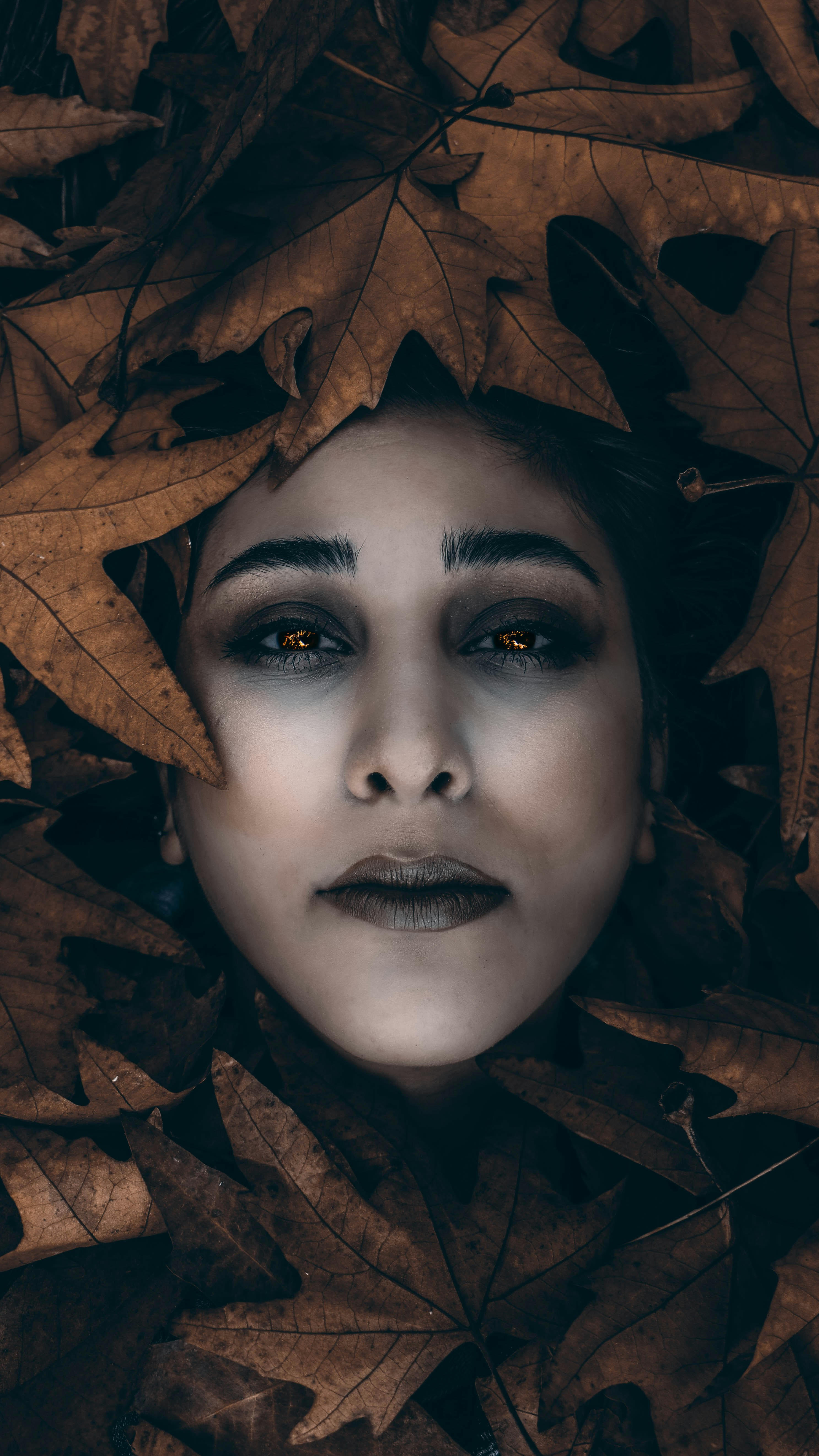 The fifth season of The Witcher series is officially confirmed