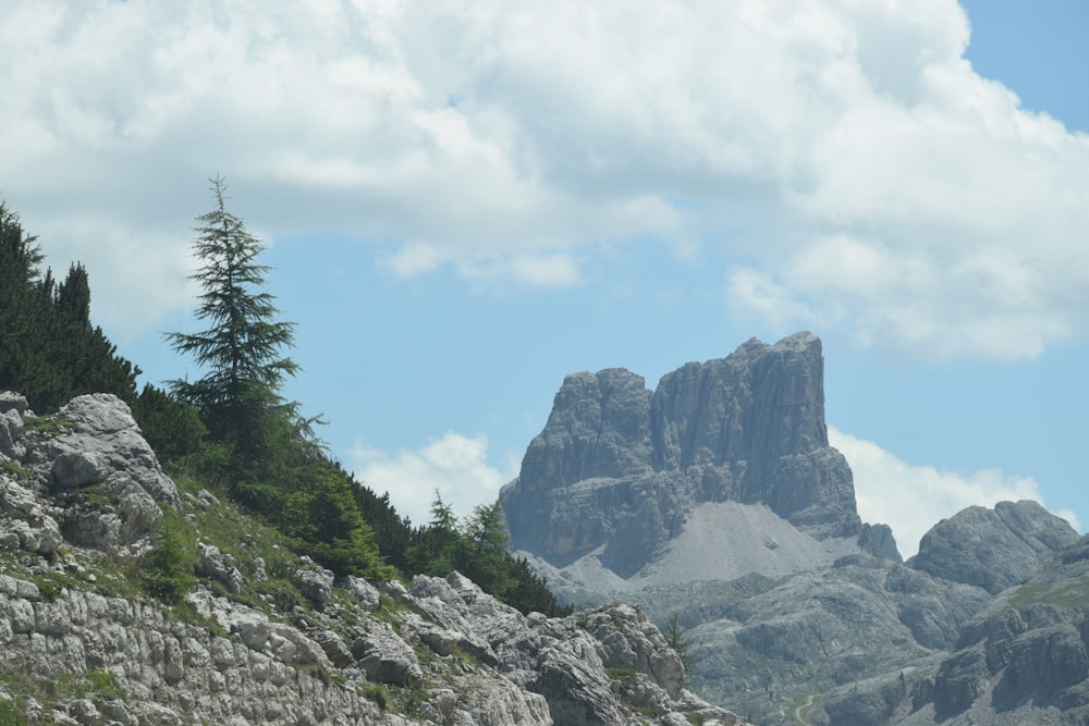 green trees on rocky mountain under white cloudy sky during daytime