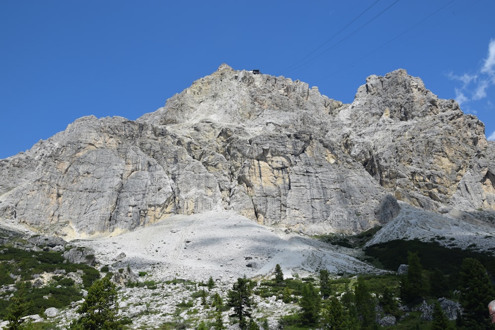 green pine trees near gray rocky mountain under blue sky during daytime