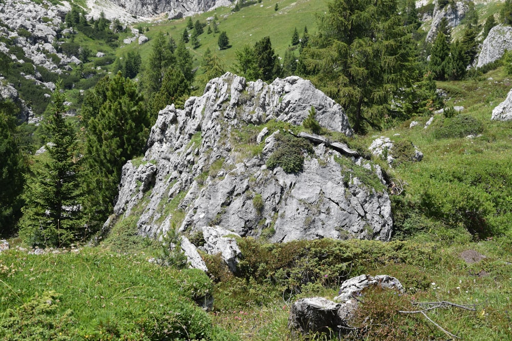 Grünes Grasfeld und grauer felsiger Berg tagsüber