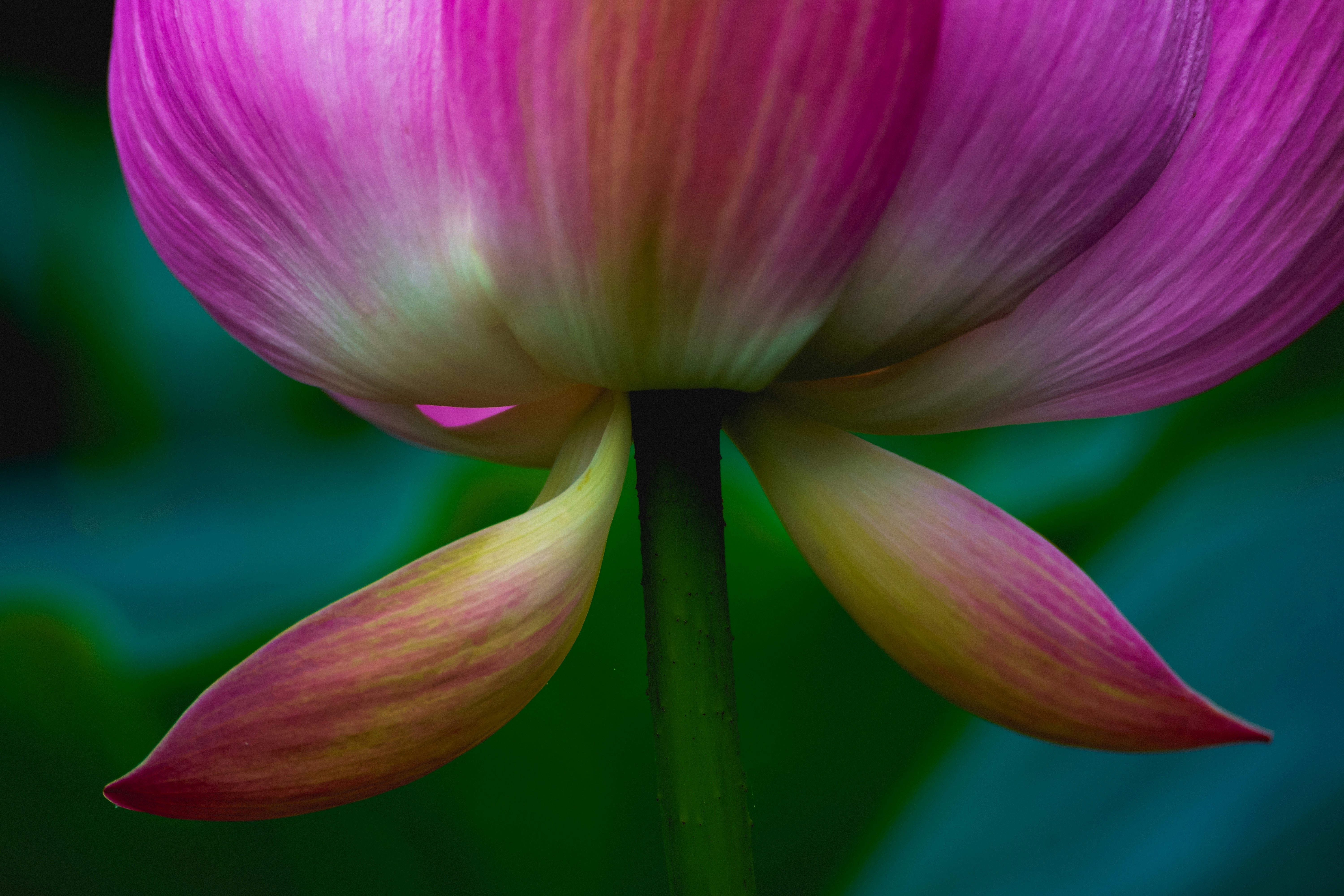 Photo by ravirdjr0111