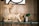 A wooden sculpture made from driftwood pieces resembling an animal with a long neck sits on a glass shelf. Next to it is a small potted plant with wide green leaves. The background features a wooden panel wall and part of a framed artwork with bold black lines.