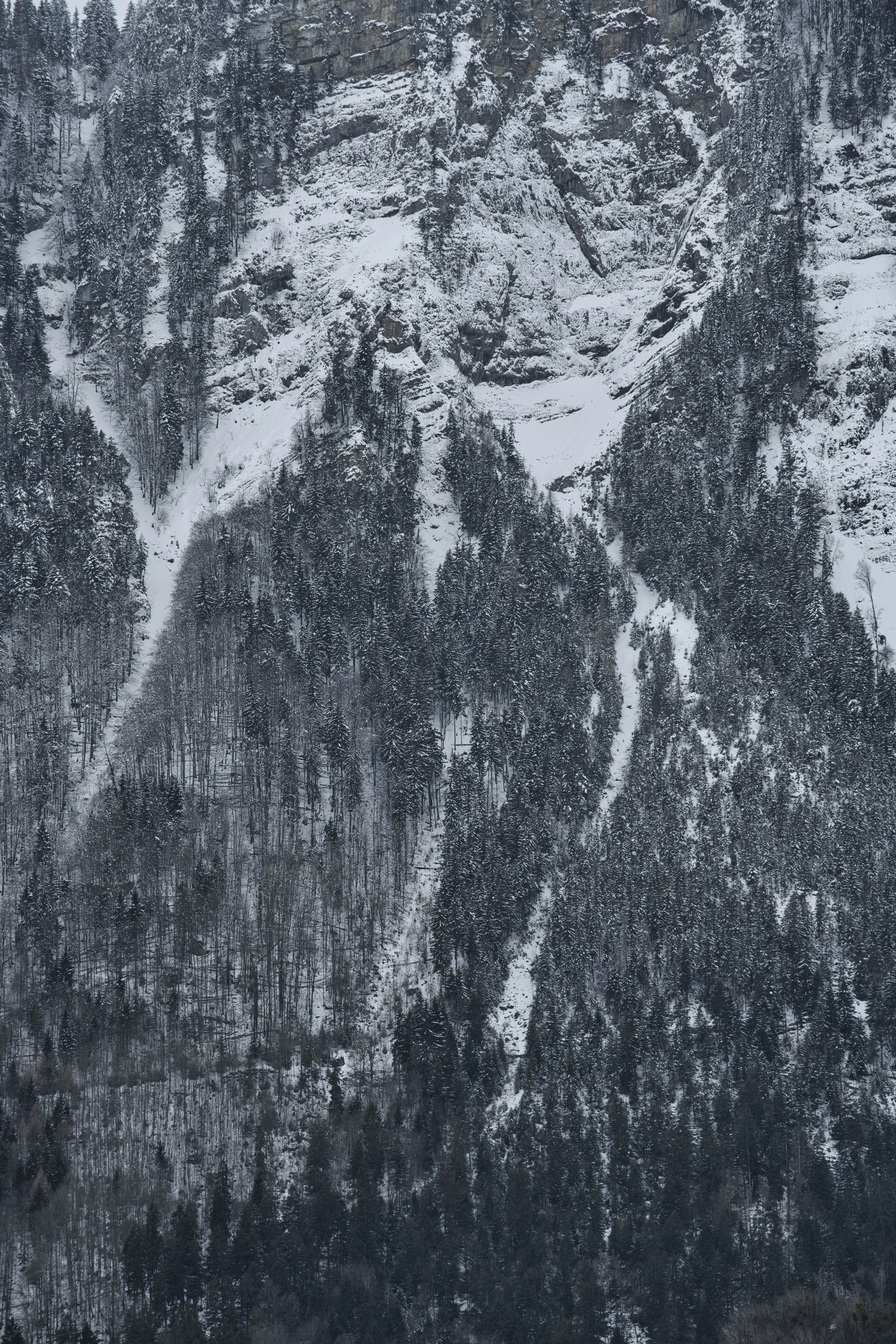 Photo by opohmelka