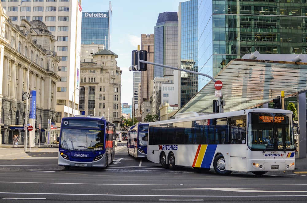 blue and white bus on road during daytime