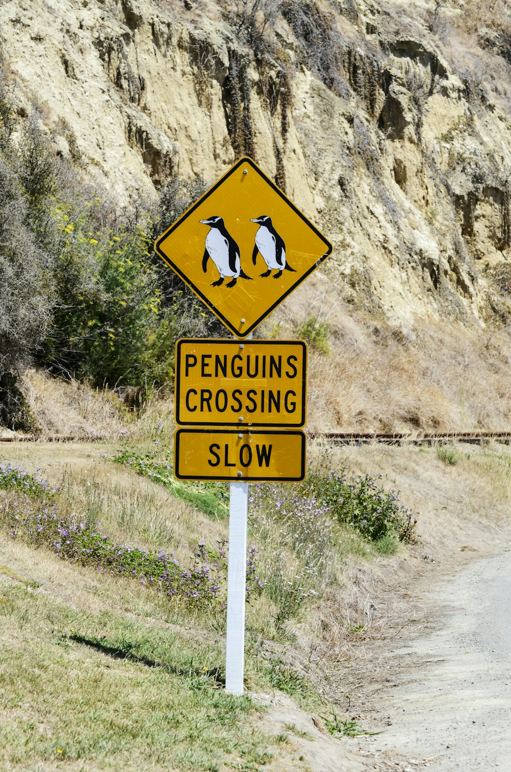 yellow and black road sign