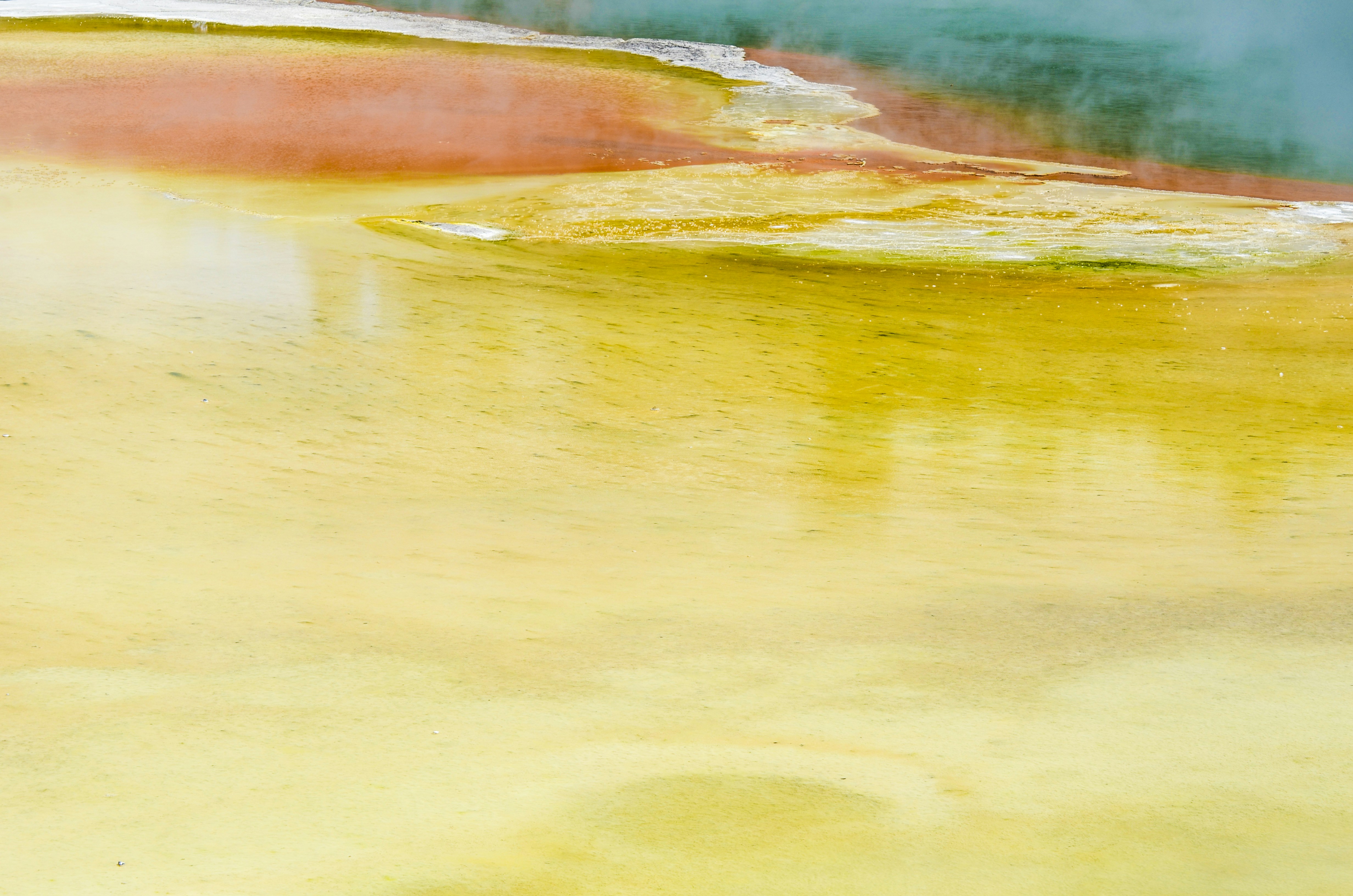 Photo by aleza_design